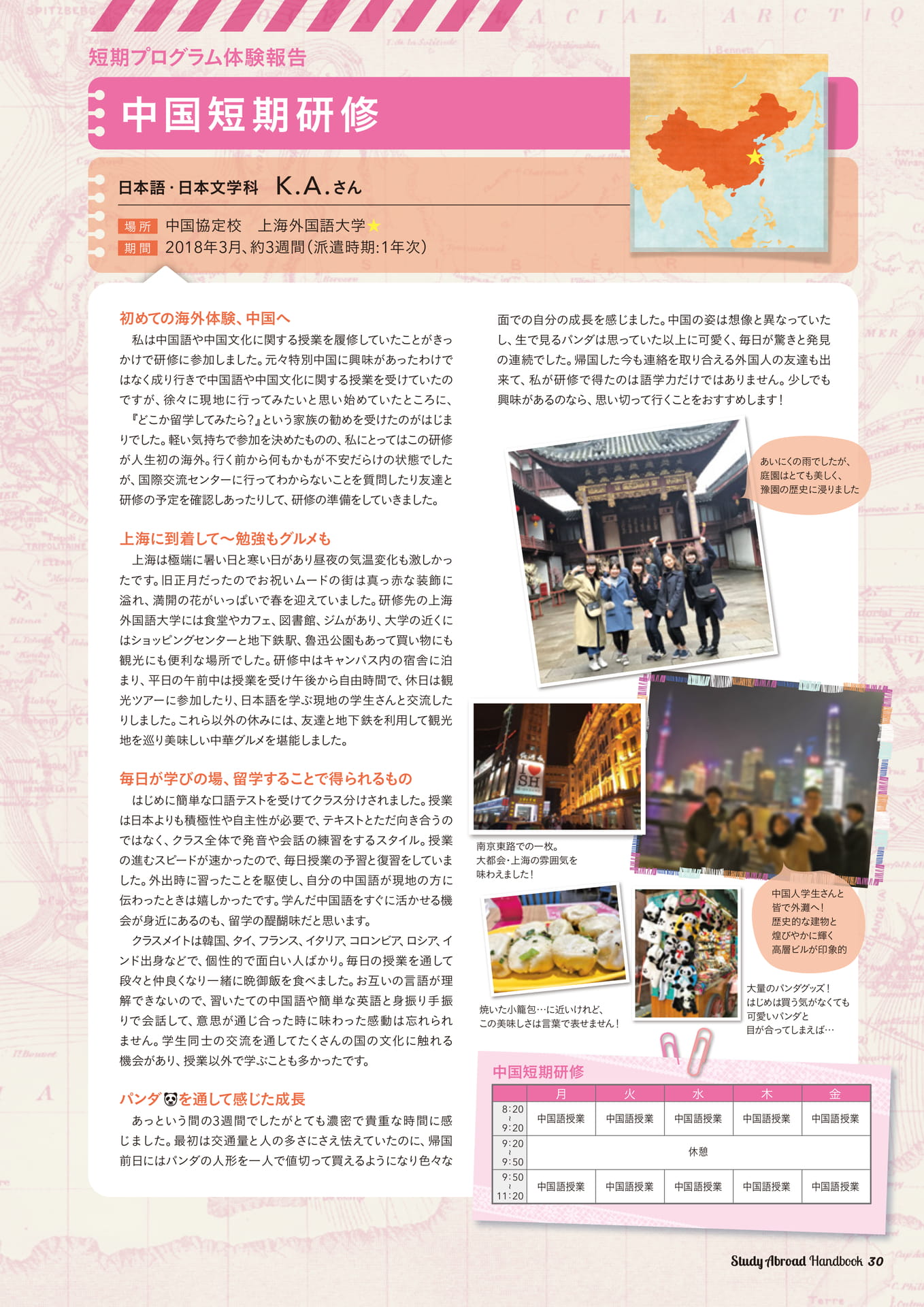 Page 31（31ページ目）