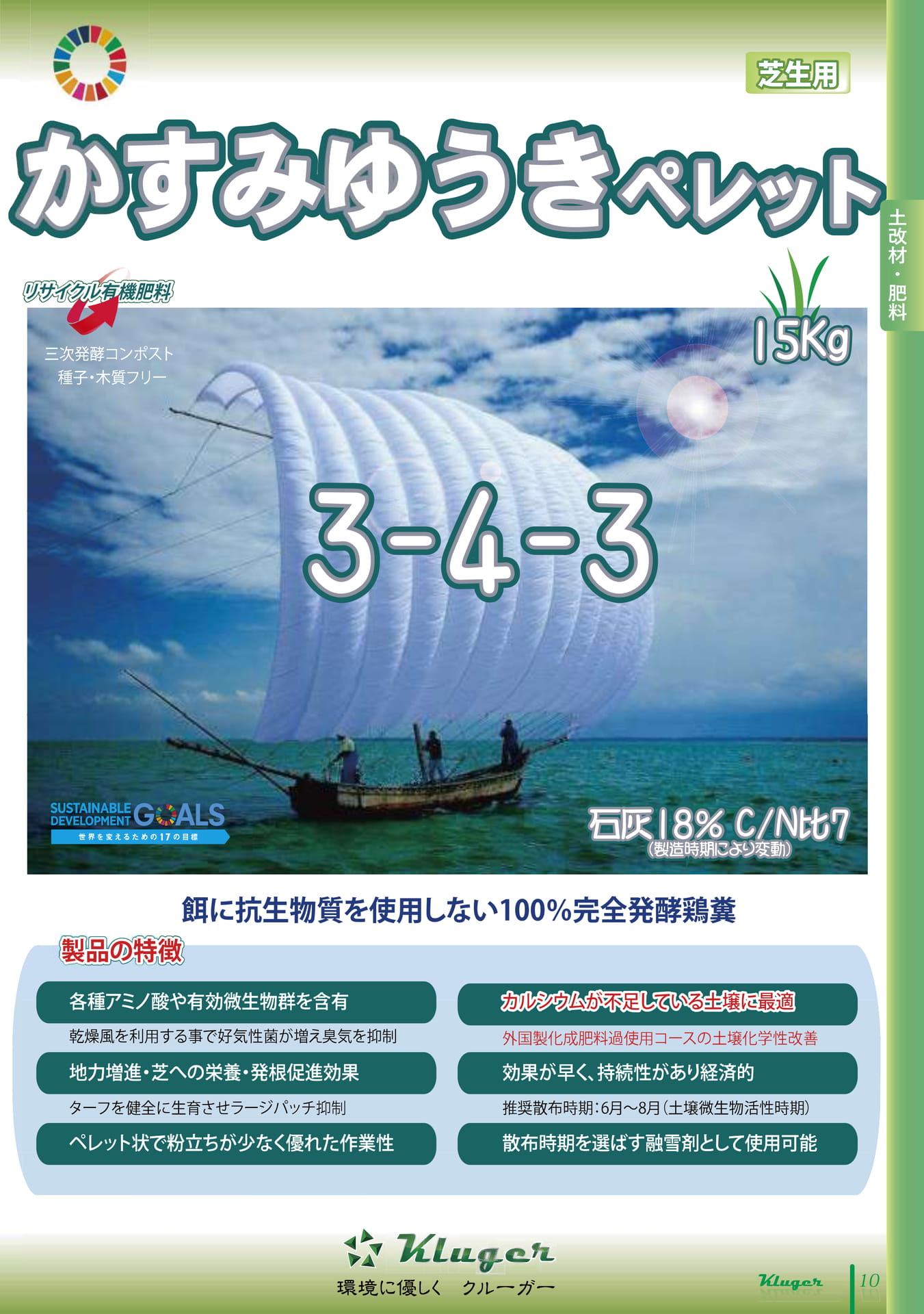 Page 11（11ページ目）