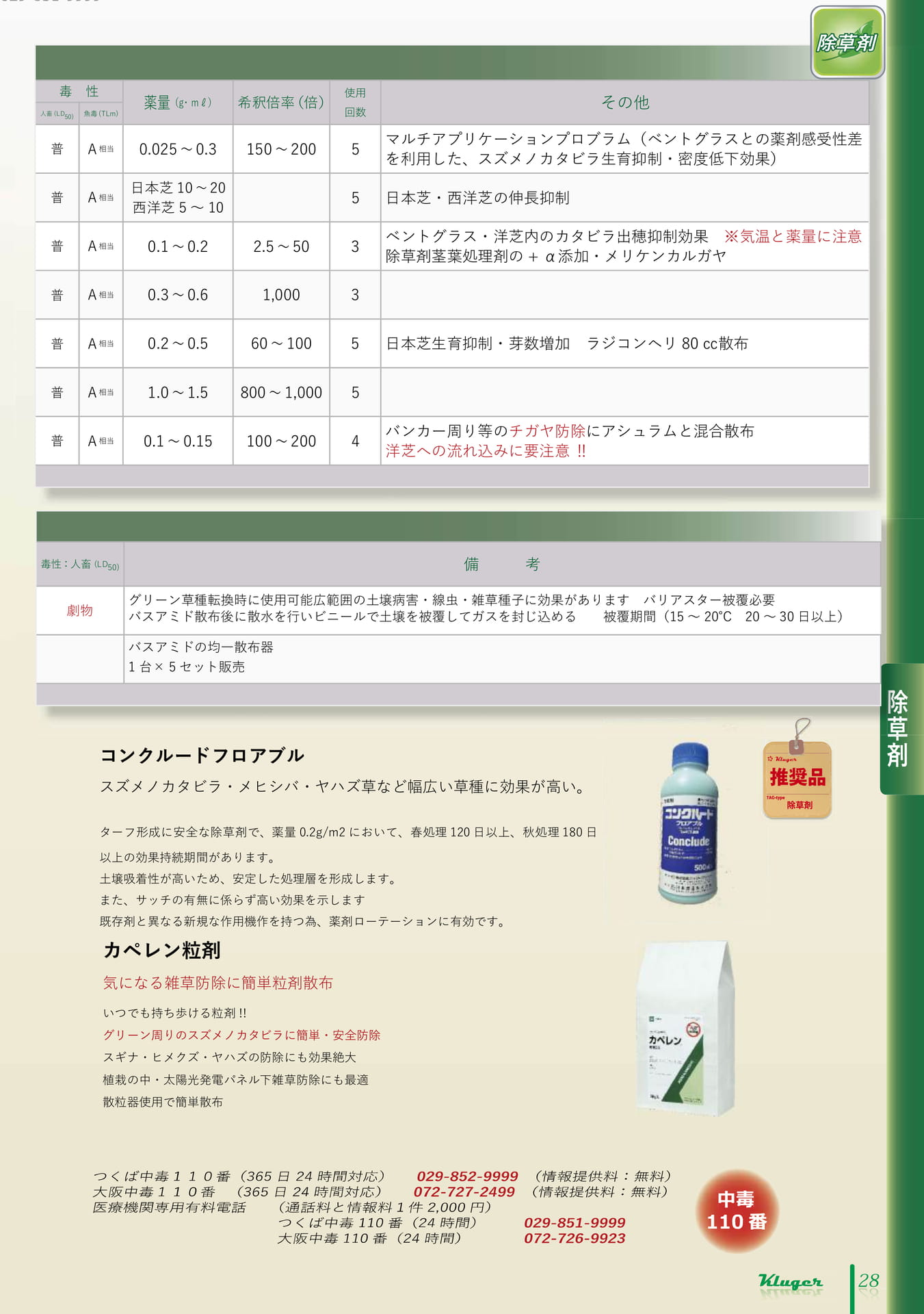Page 29（29ページ目）