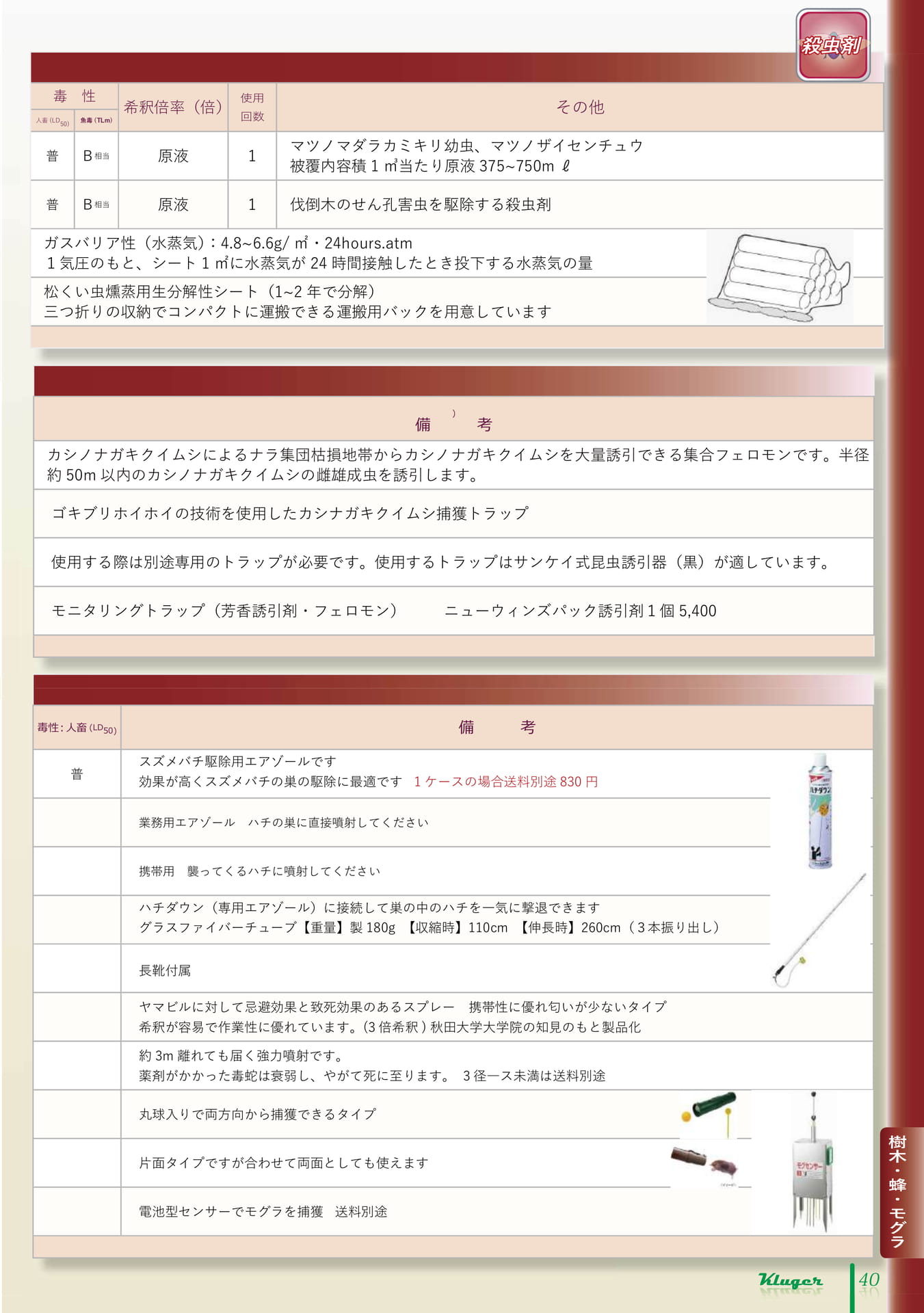 Page 41（41ページ目）
