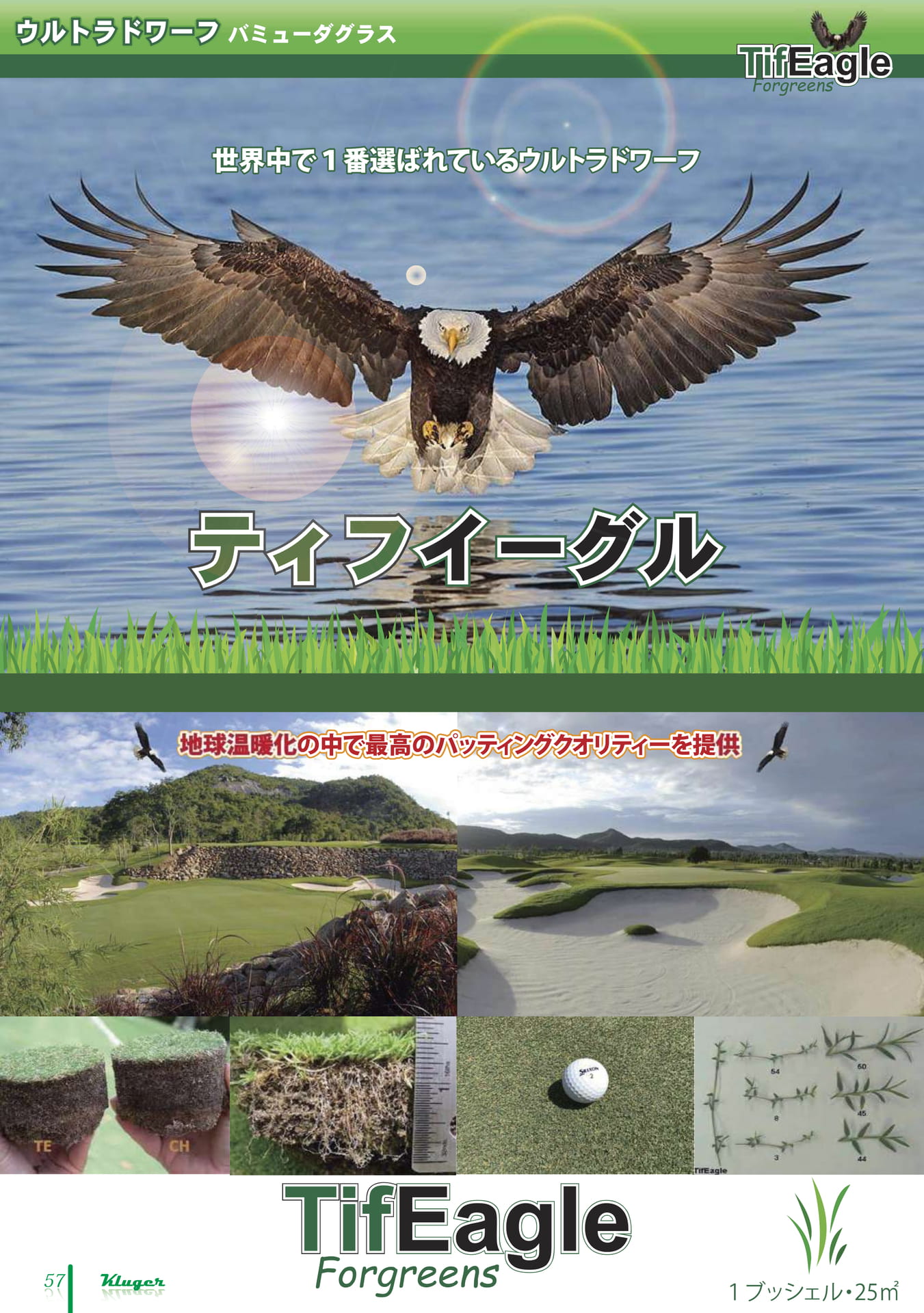 Page 58（58ページ目）
