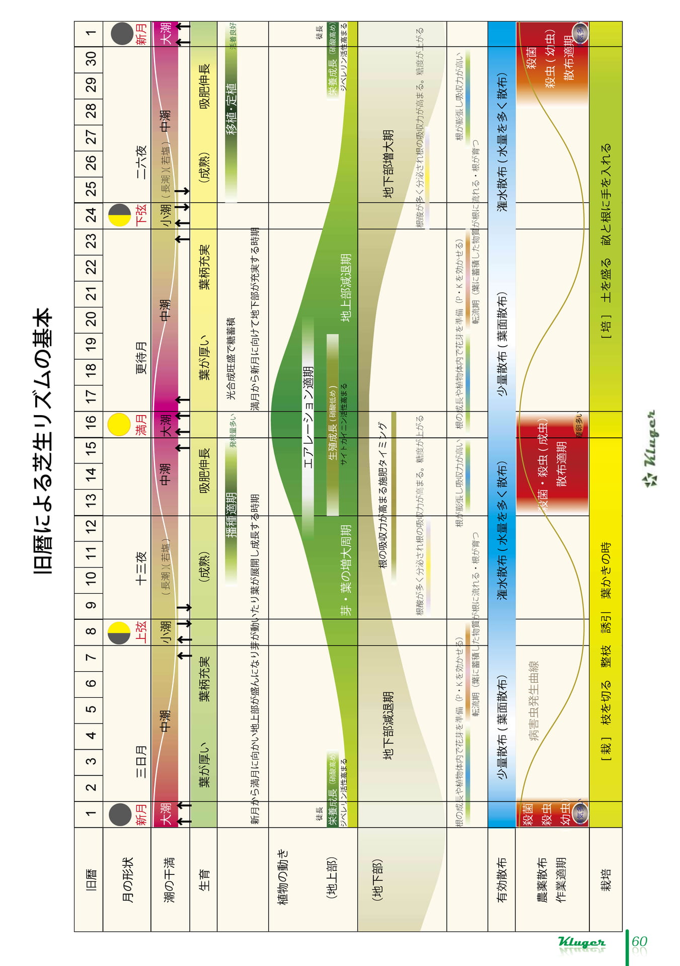 Page 61（61ページ目）