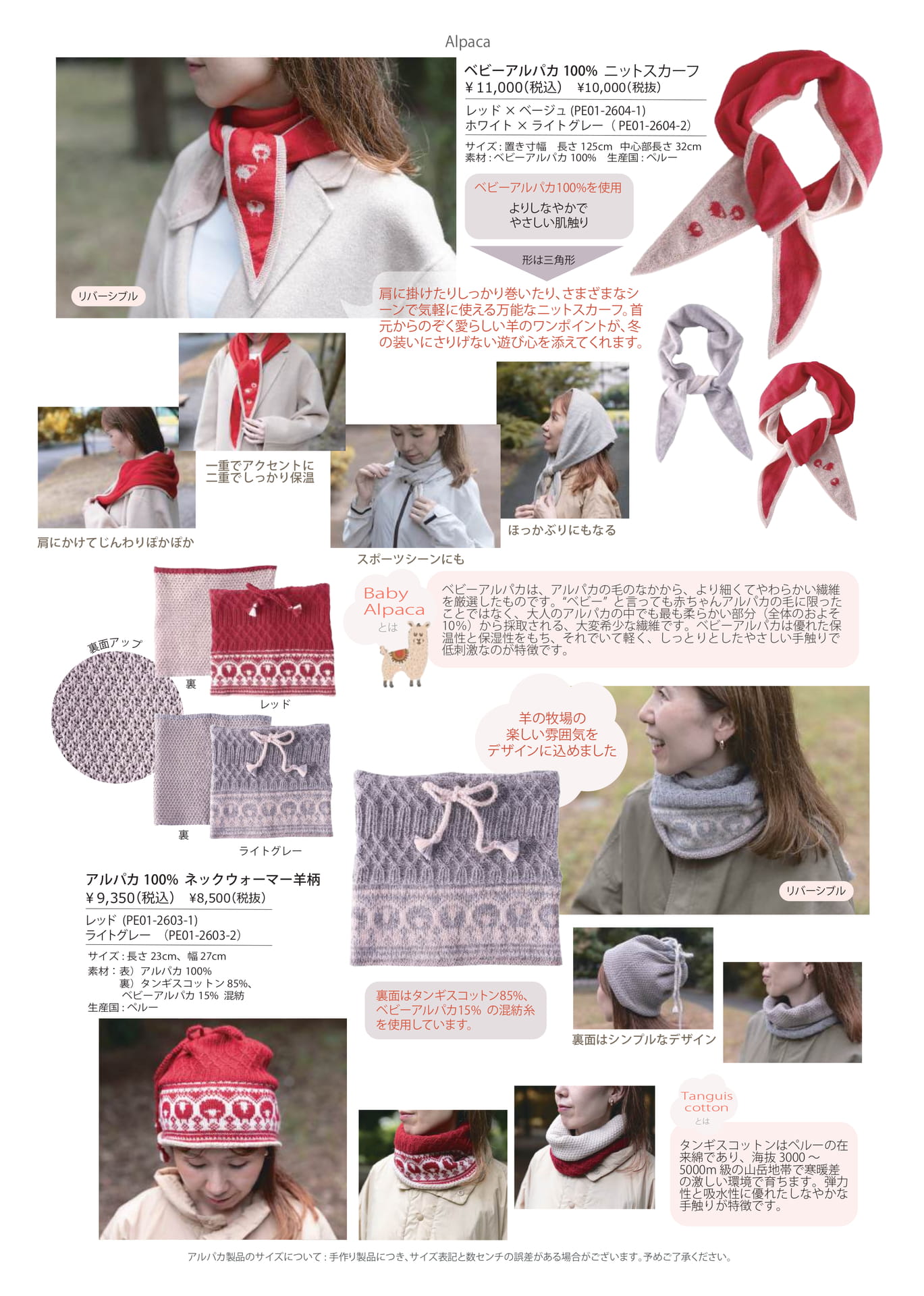 Page (追加)1（3ページ目）
