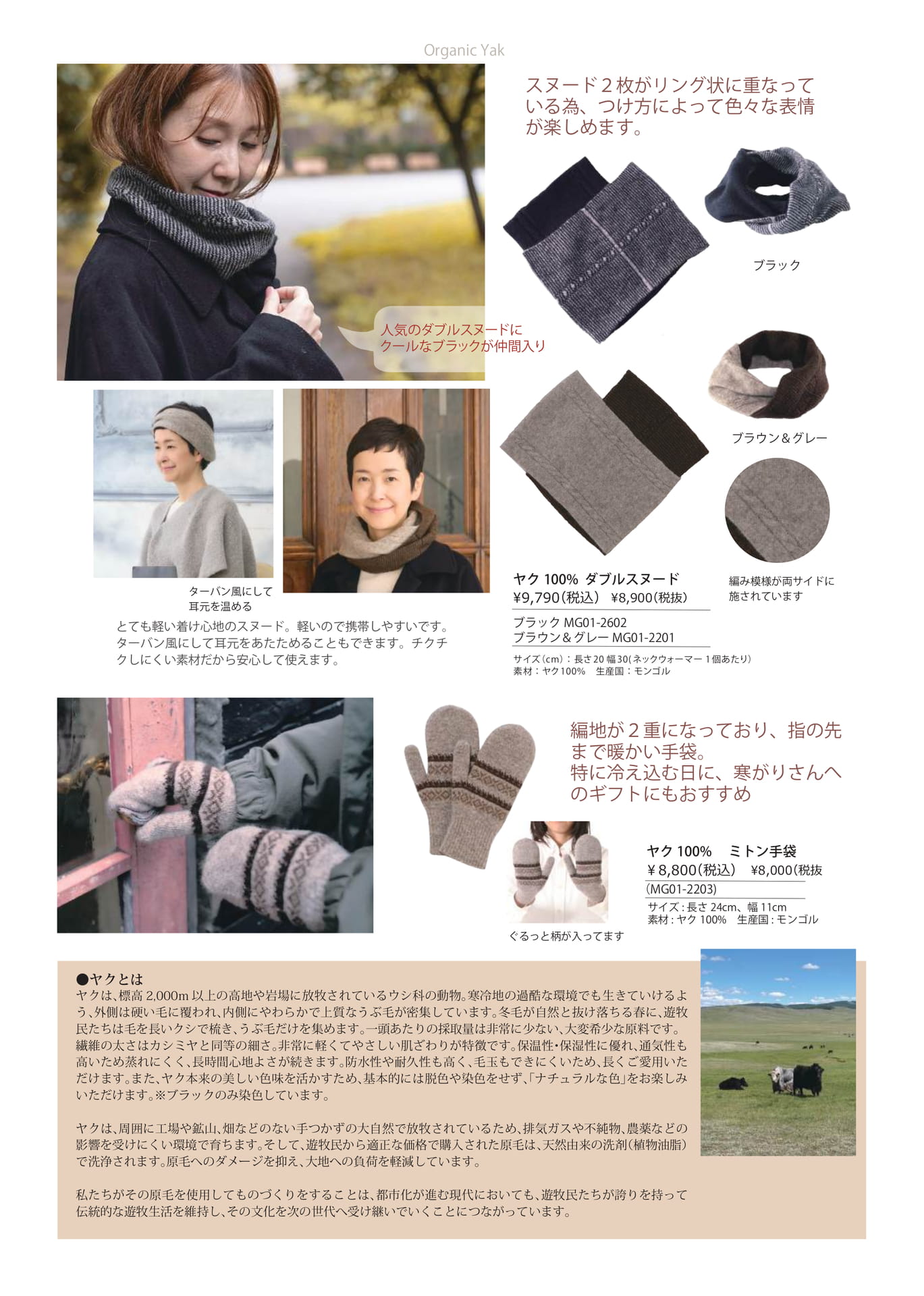 Page (追加)1（10ページ目）