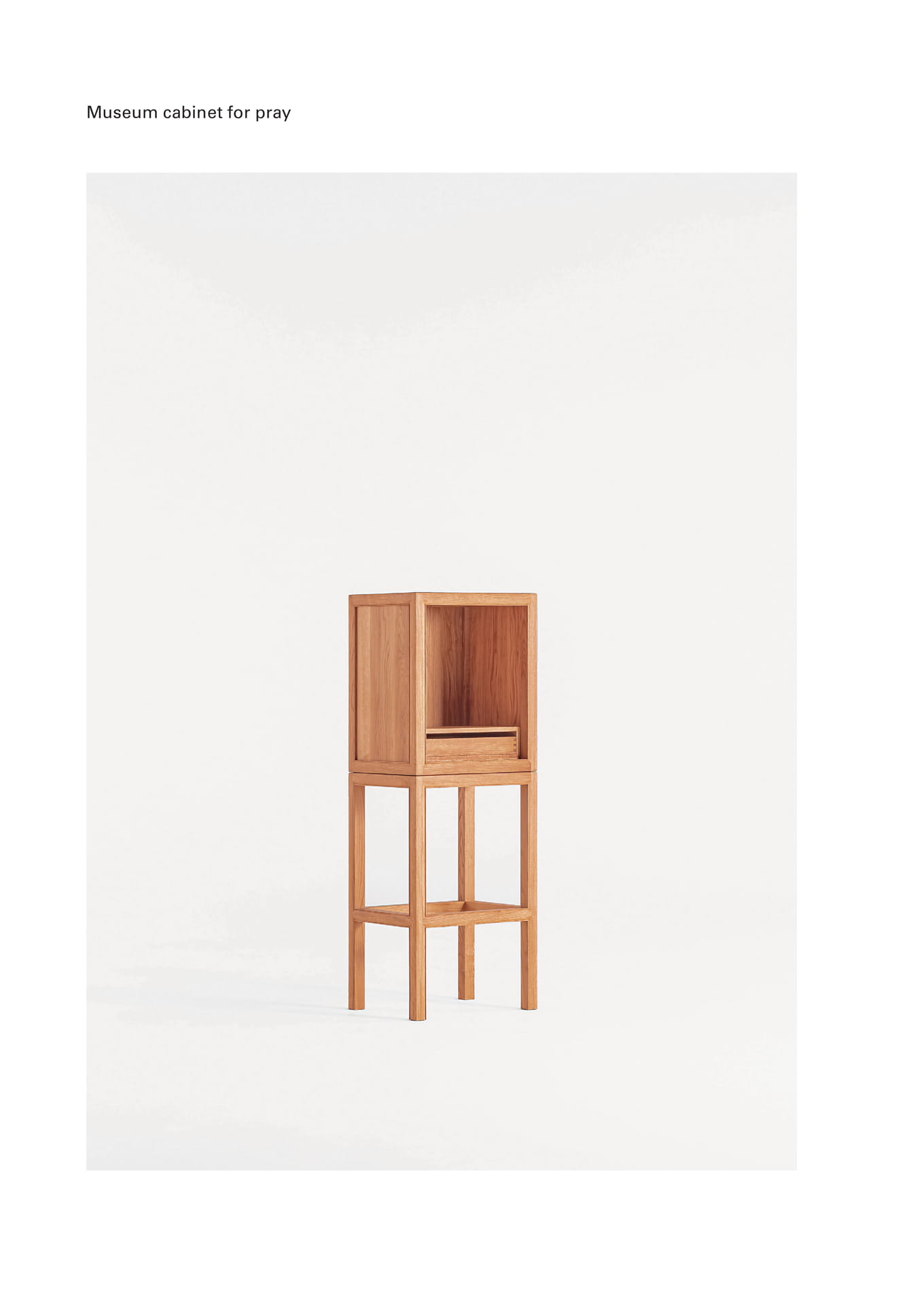Museum cabinet for pray(294ページ目)