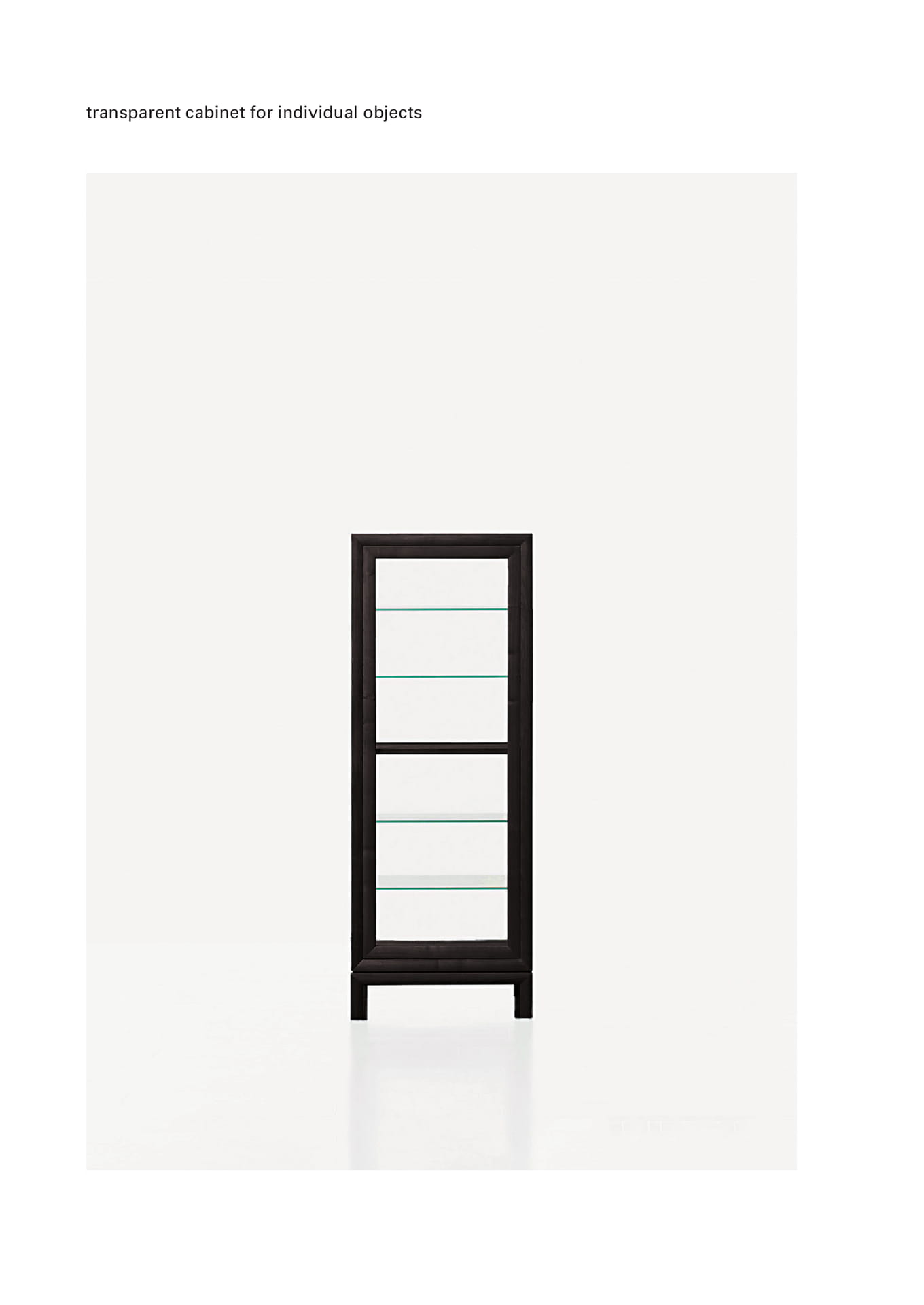 transparent cabinet(310ページ目)
