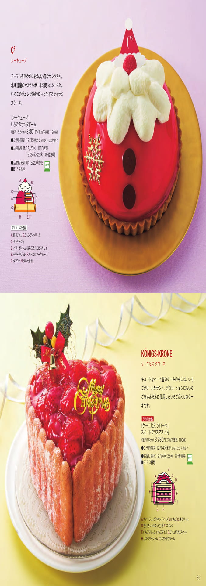 Page 25（25ページ目）