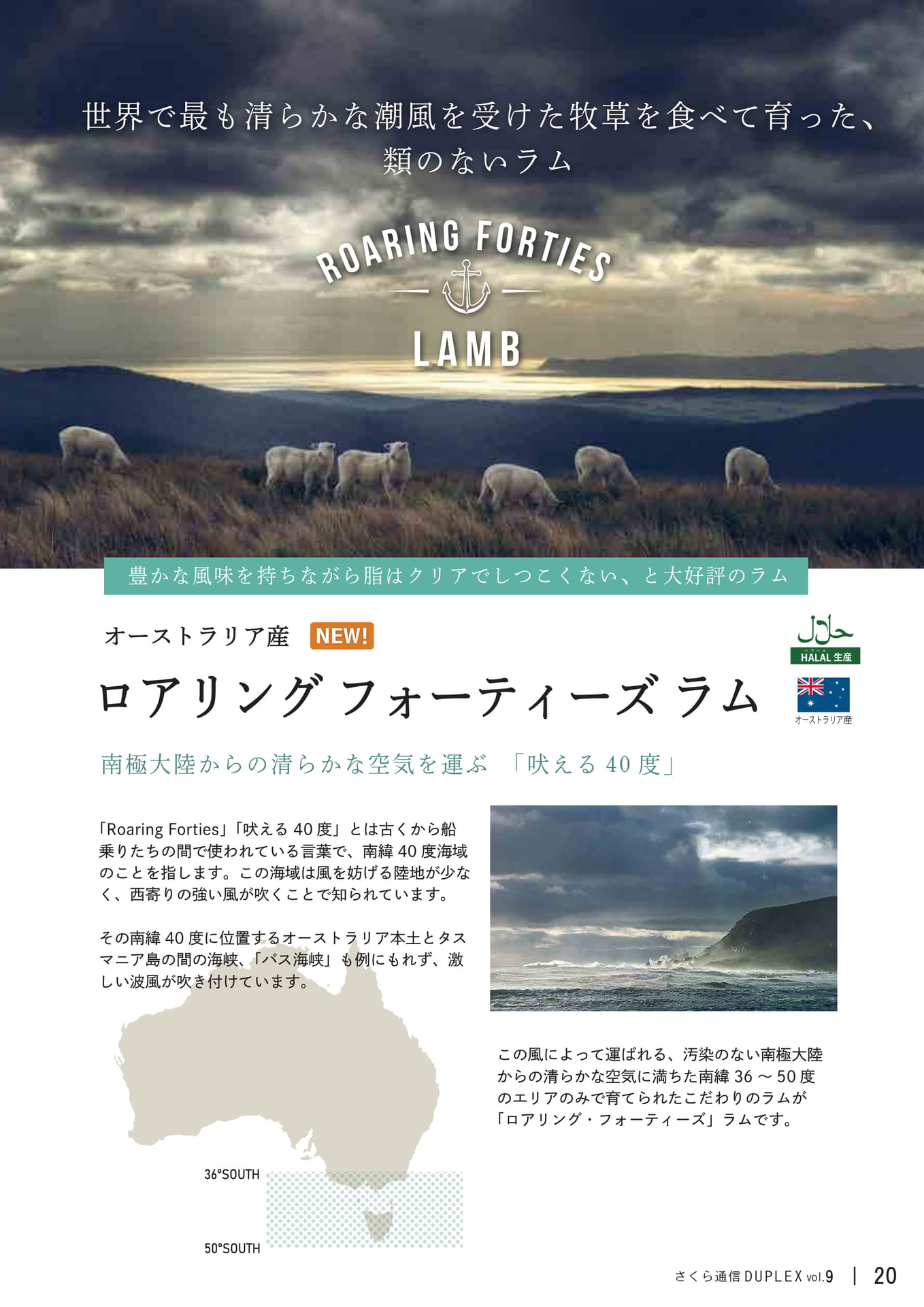 Page 20(20ページ目)