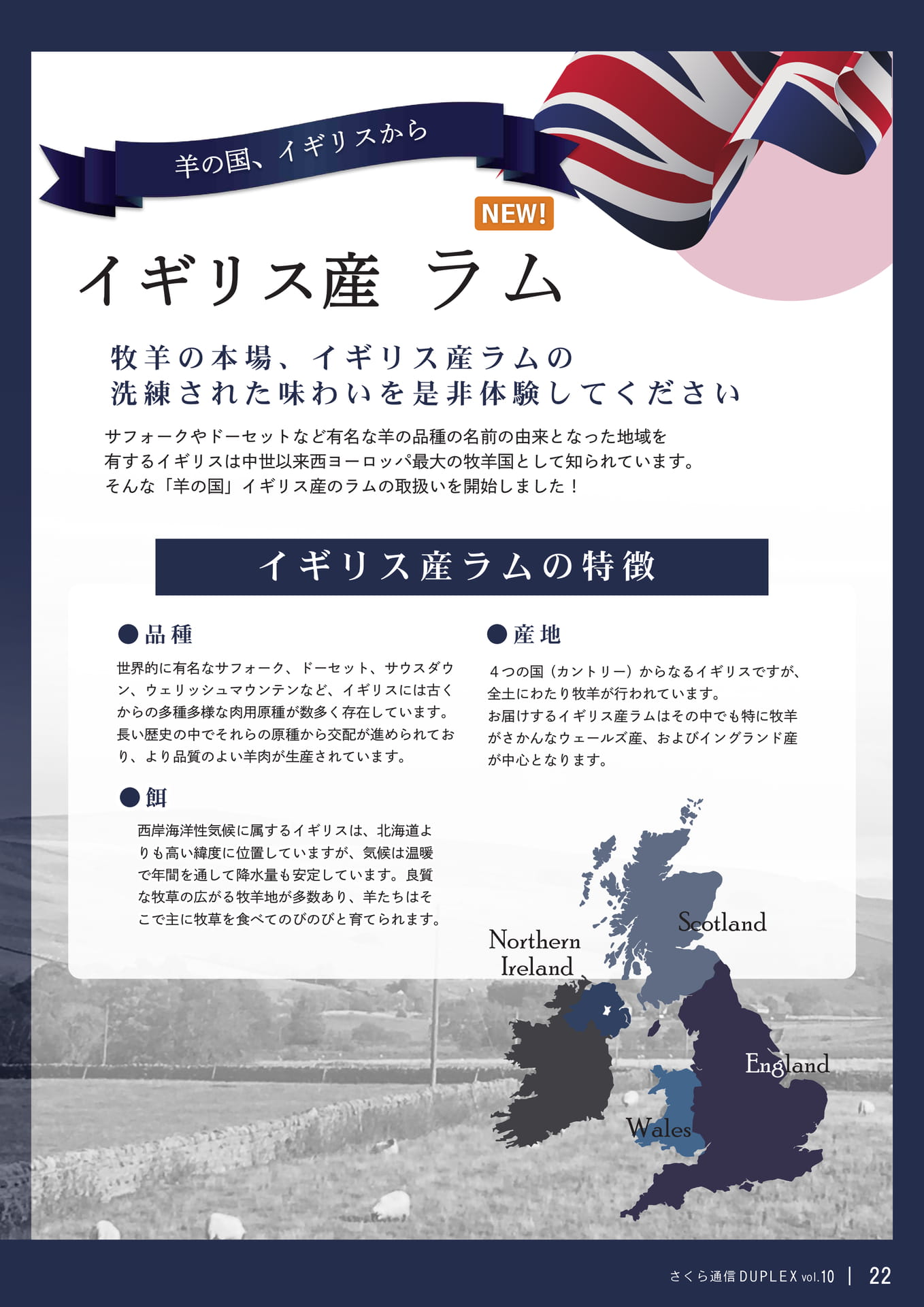 Page 22（22ページ目）