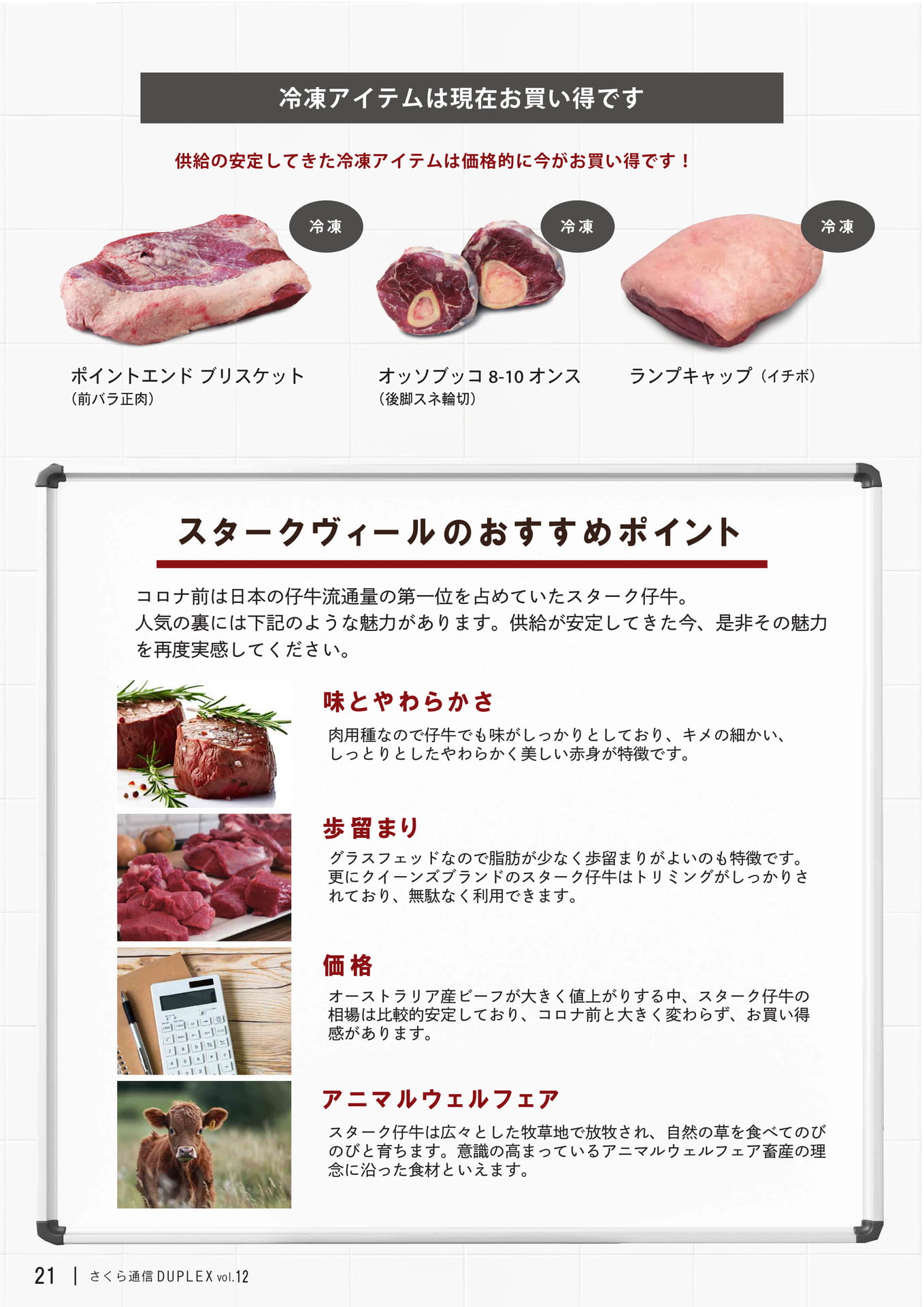 Page 21(21ページ目)