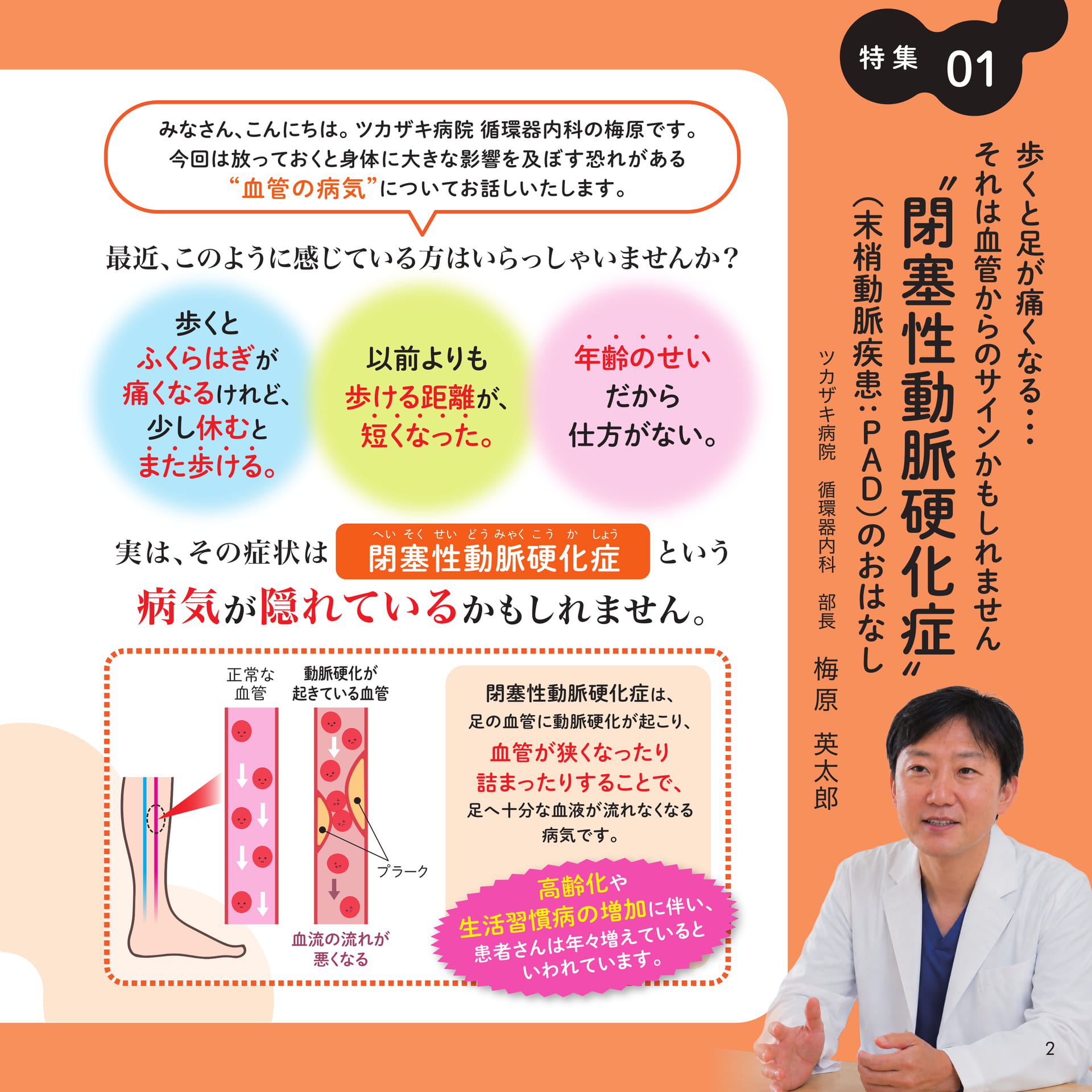 歩くと足が痛くなる。それは閉塞性動脈硬化症のおはなし(2ページ目)