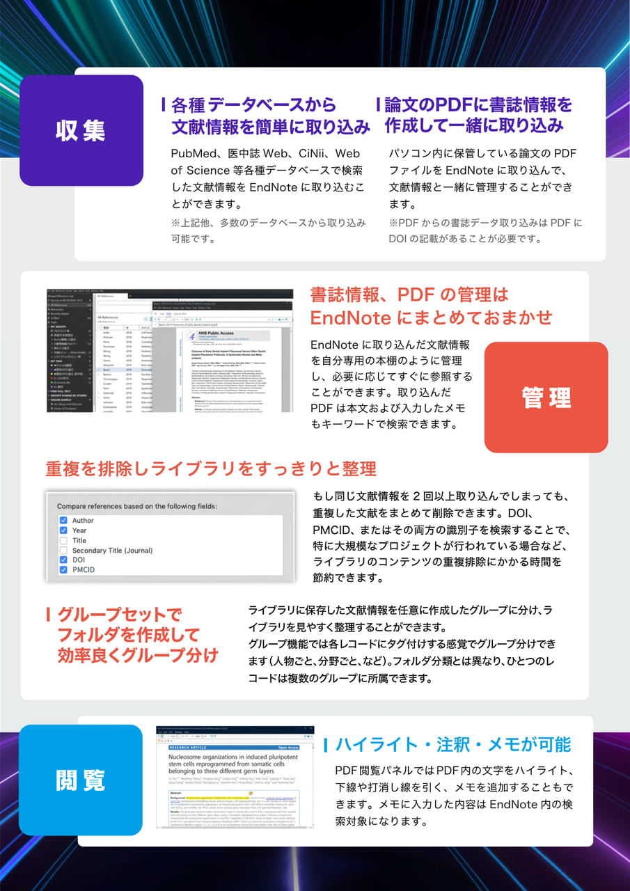 Page 2(2ページ目)