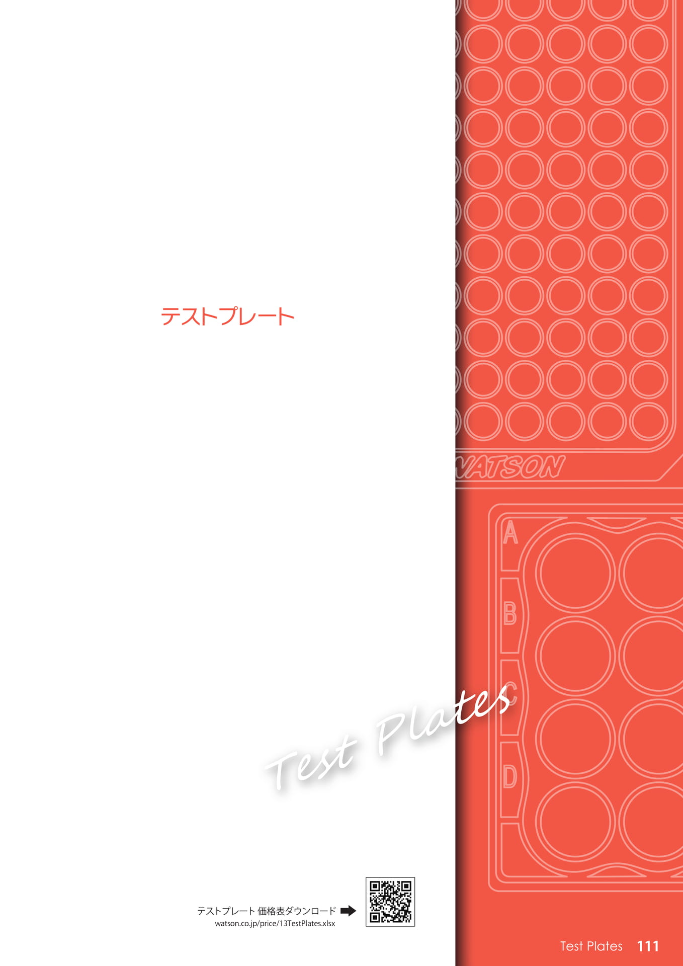 Page 111(111ページ目)