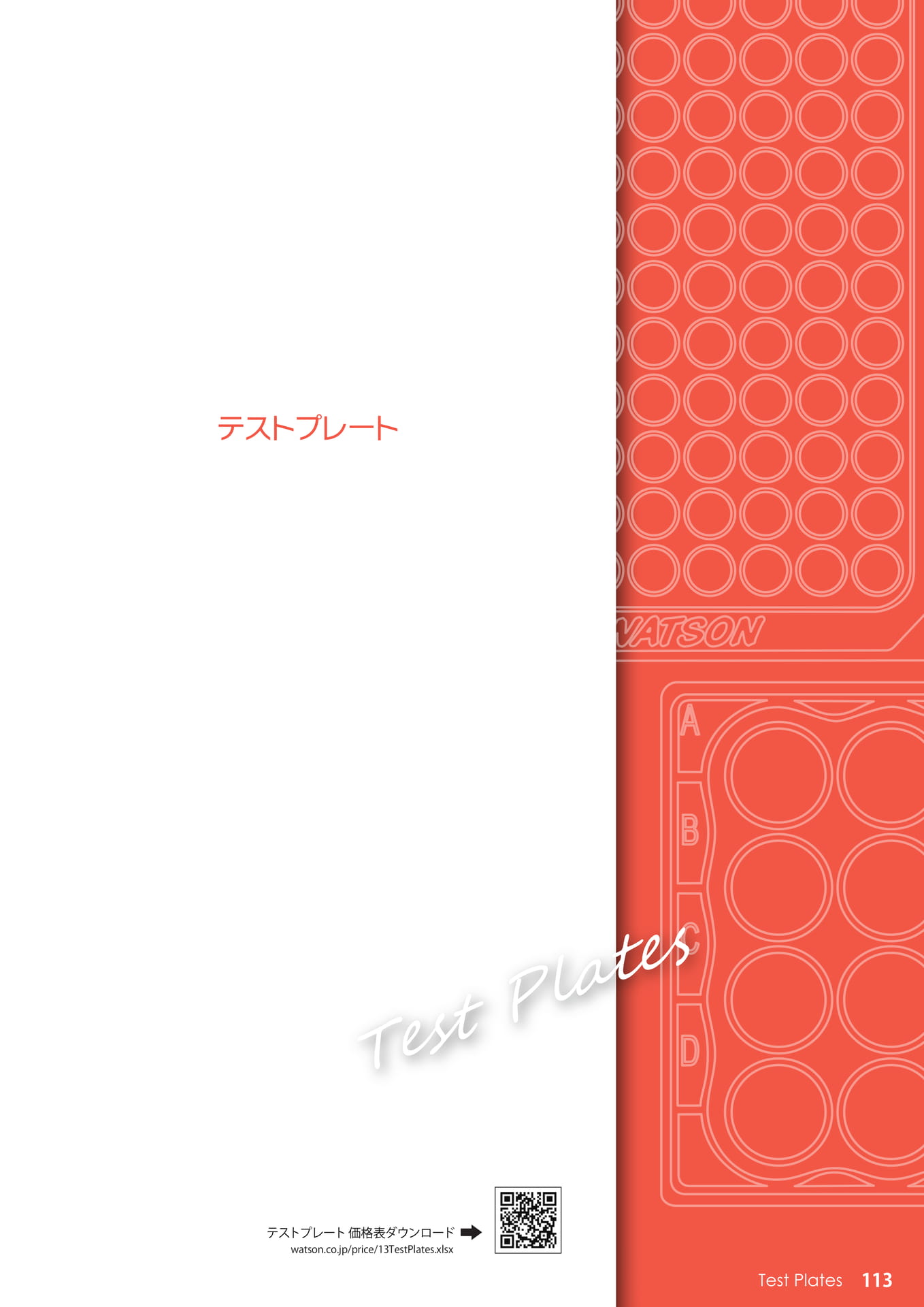 Page 113(113ページ目)
