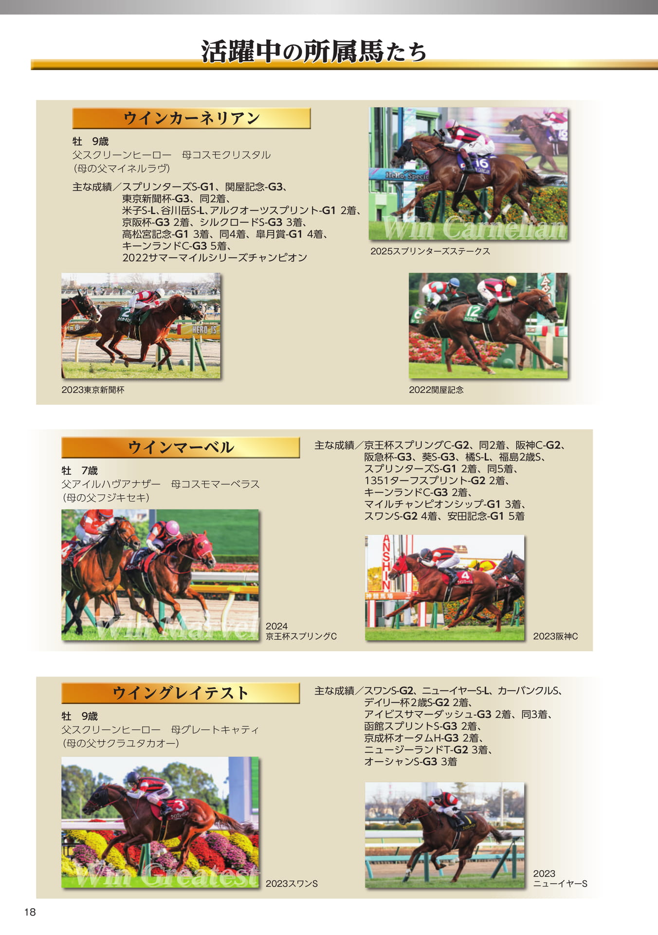 Page 18　活躍中の所属馬たち（20ページ目）