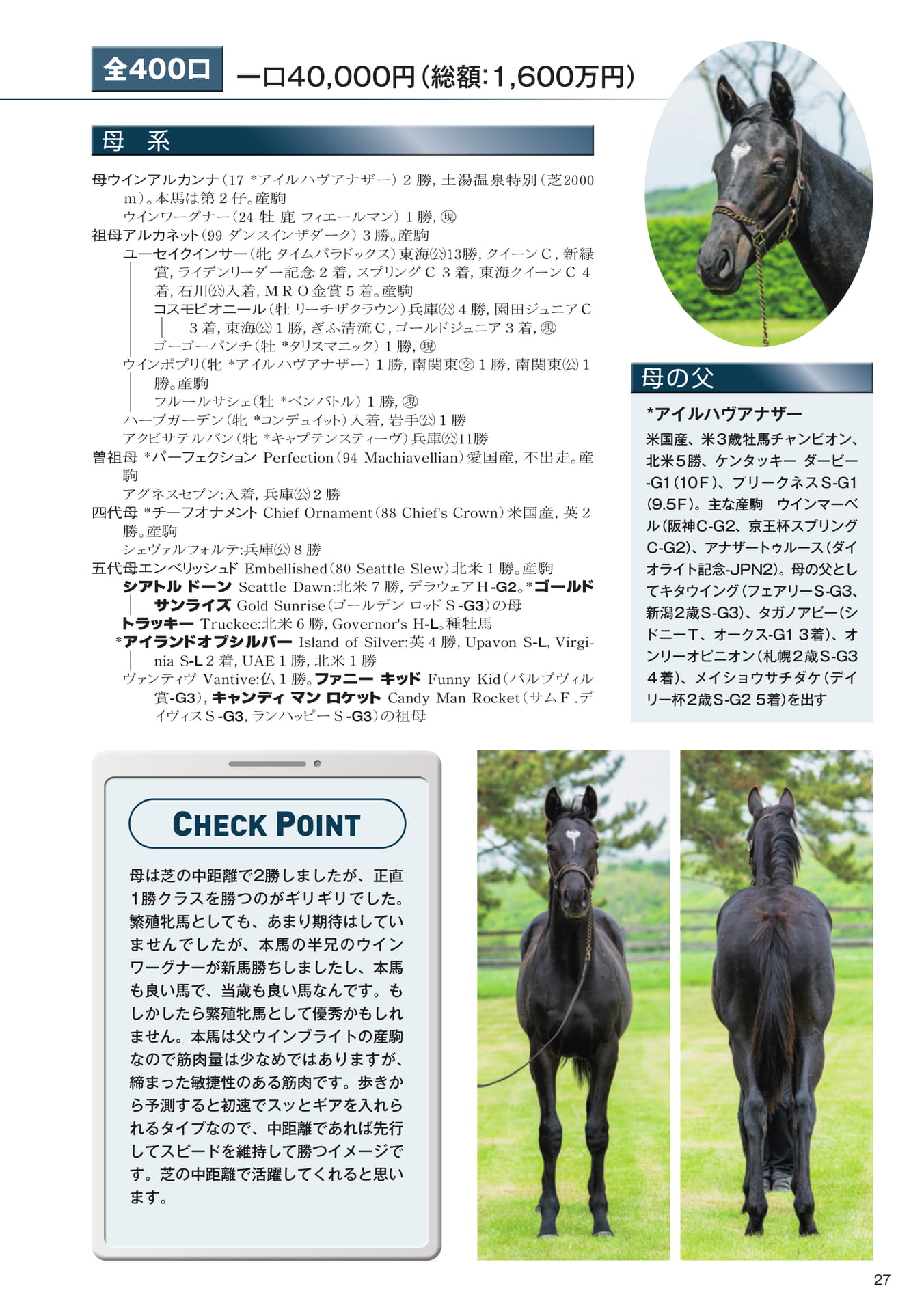 Page 27　3 ウインアルカンナの25（29ページ目）