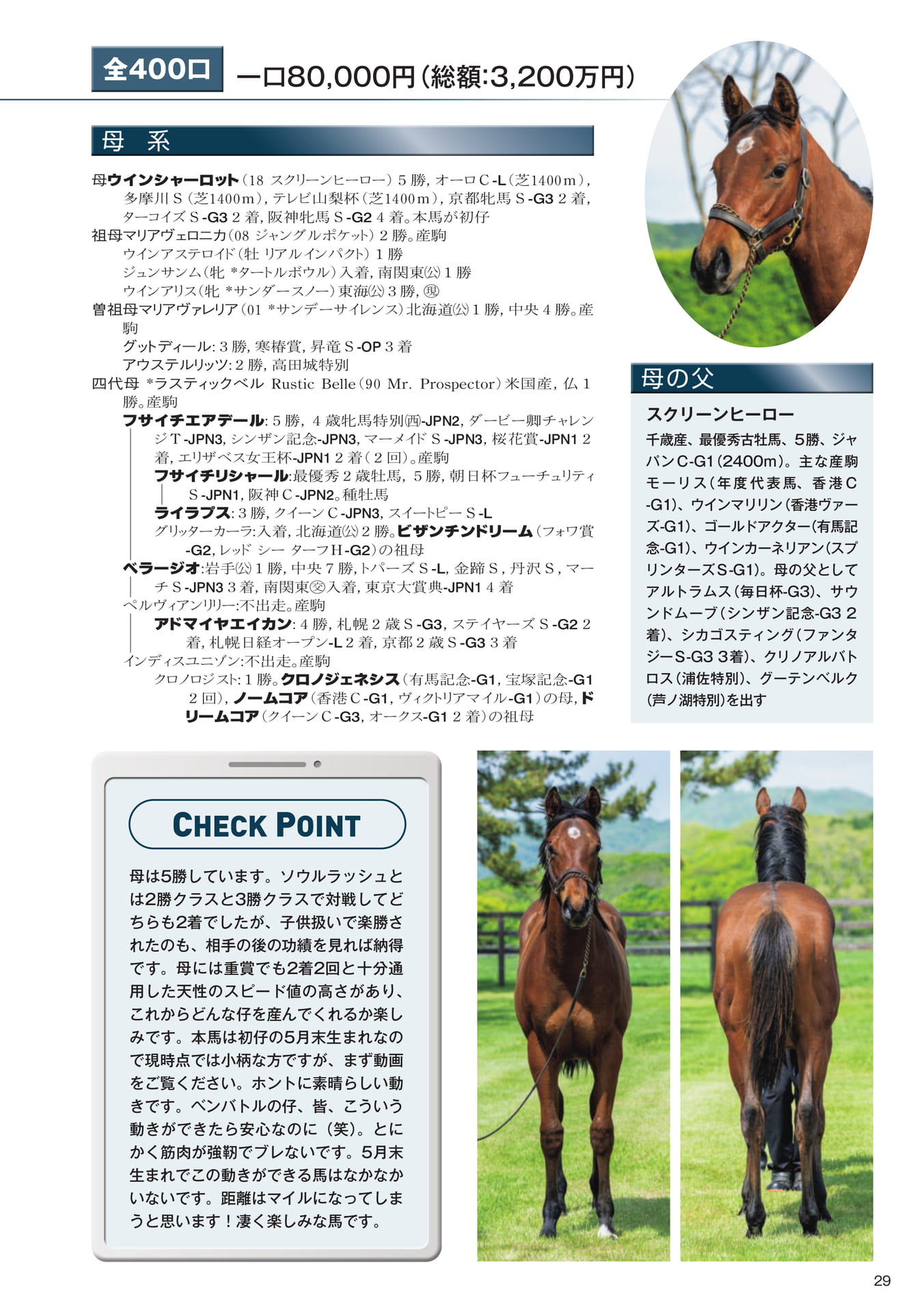 Page 29　4 ウインシャーロットの25（31ページ目）