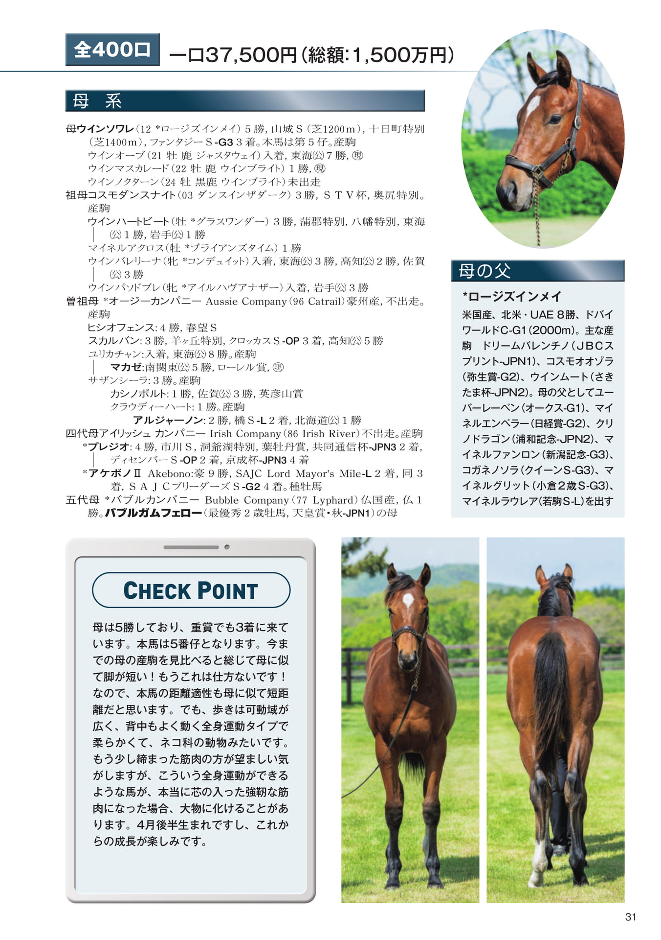 Page 31　5 ウインソワレの25（33ページ目）