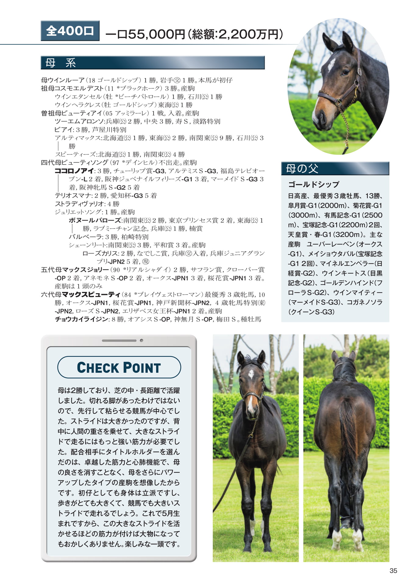 Page 35　7 ウインルーアの25（37ページ目）