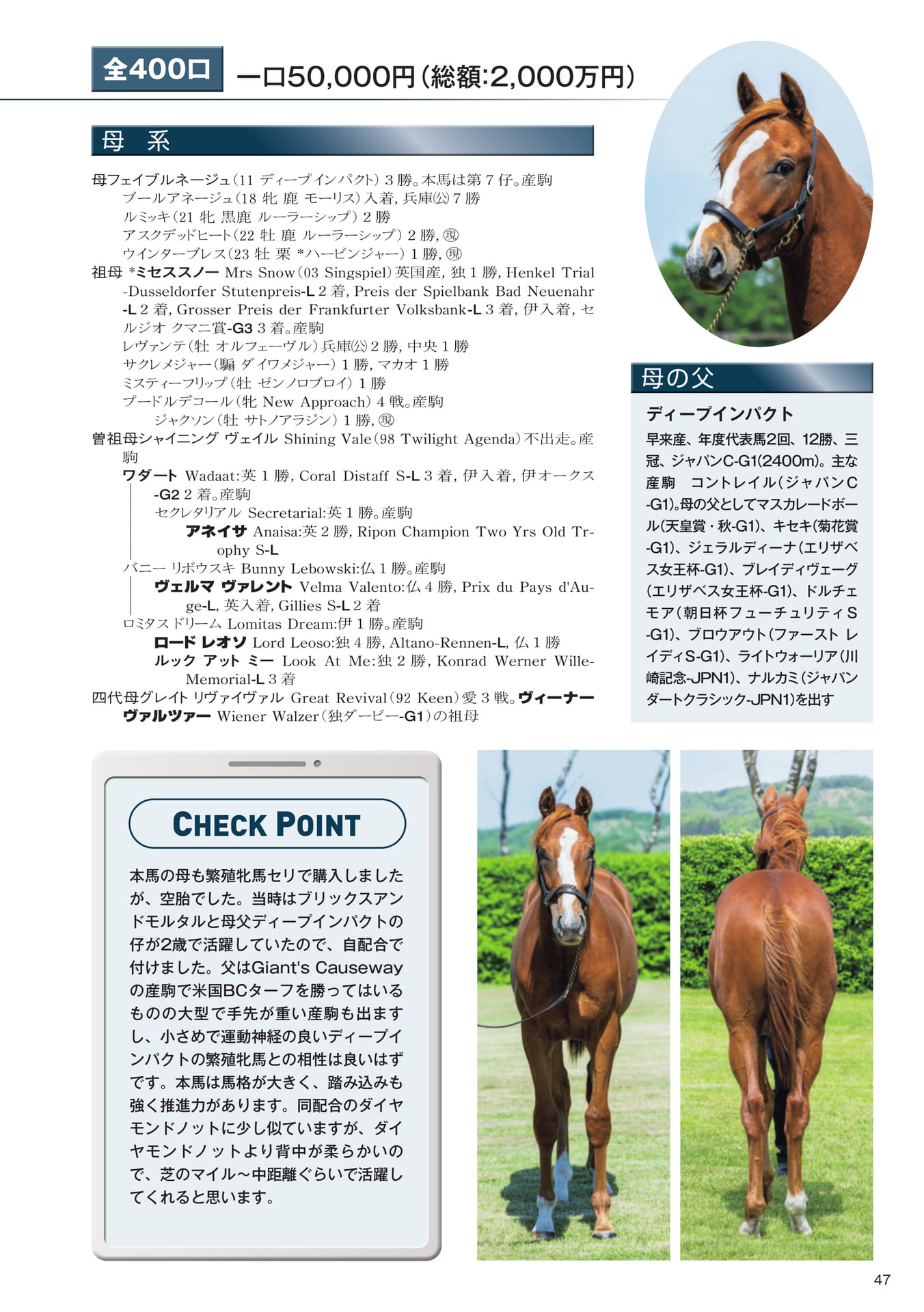 Page 47　13 フェイブルネージュの25（49ページ目）