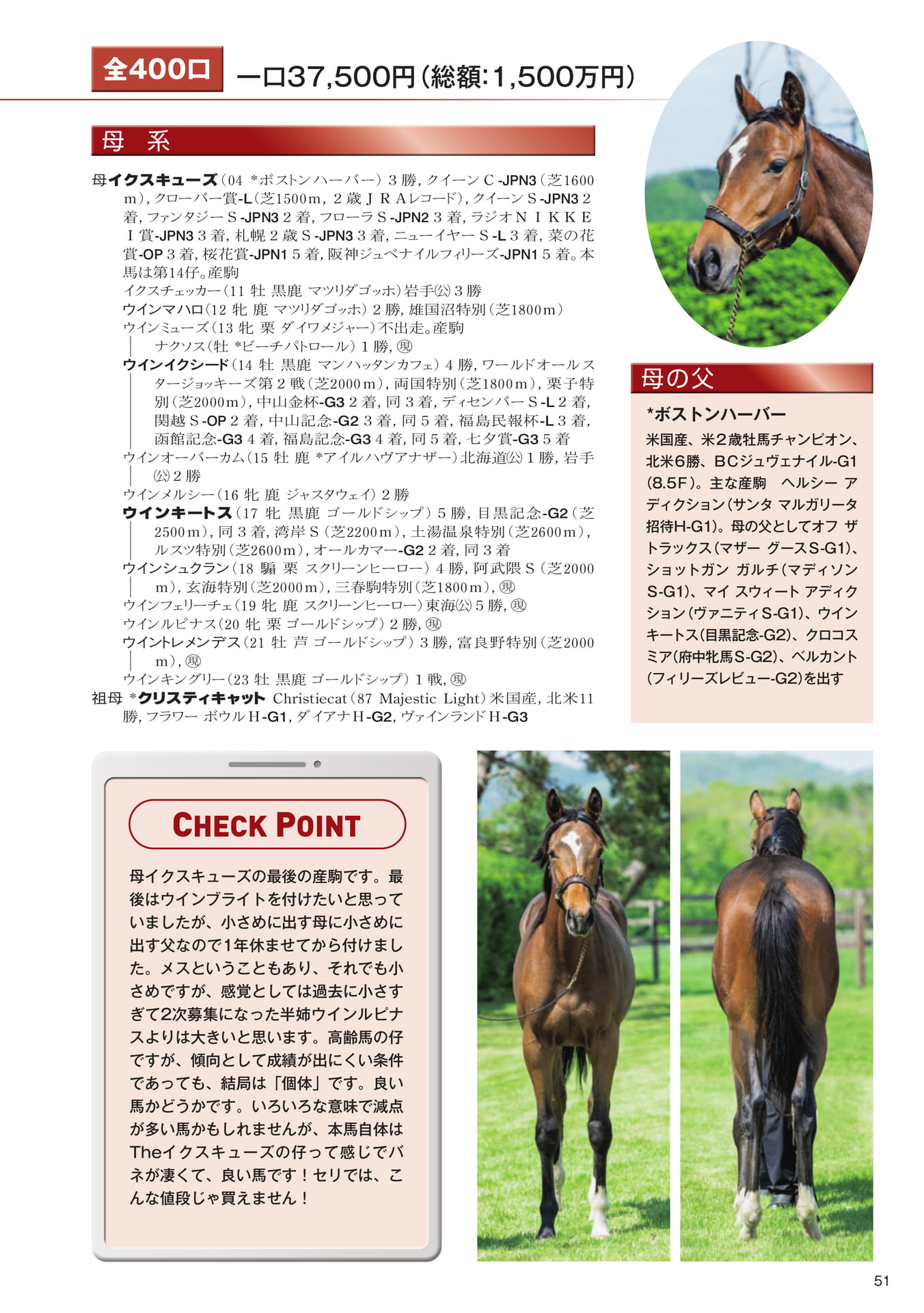 Page 51　15 イクスキューズの25（53ページ目）