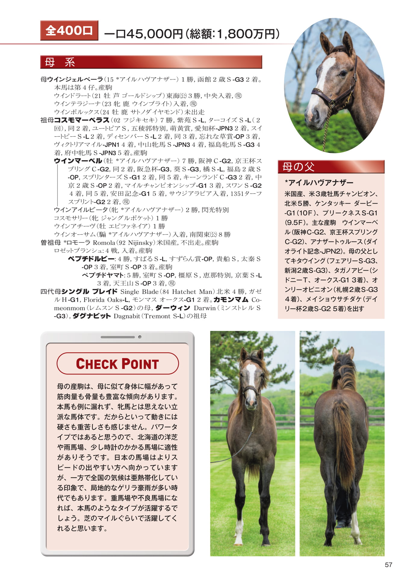 Page 57　18 ウインジェルベーラの25（59ページ目）