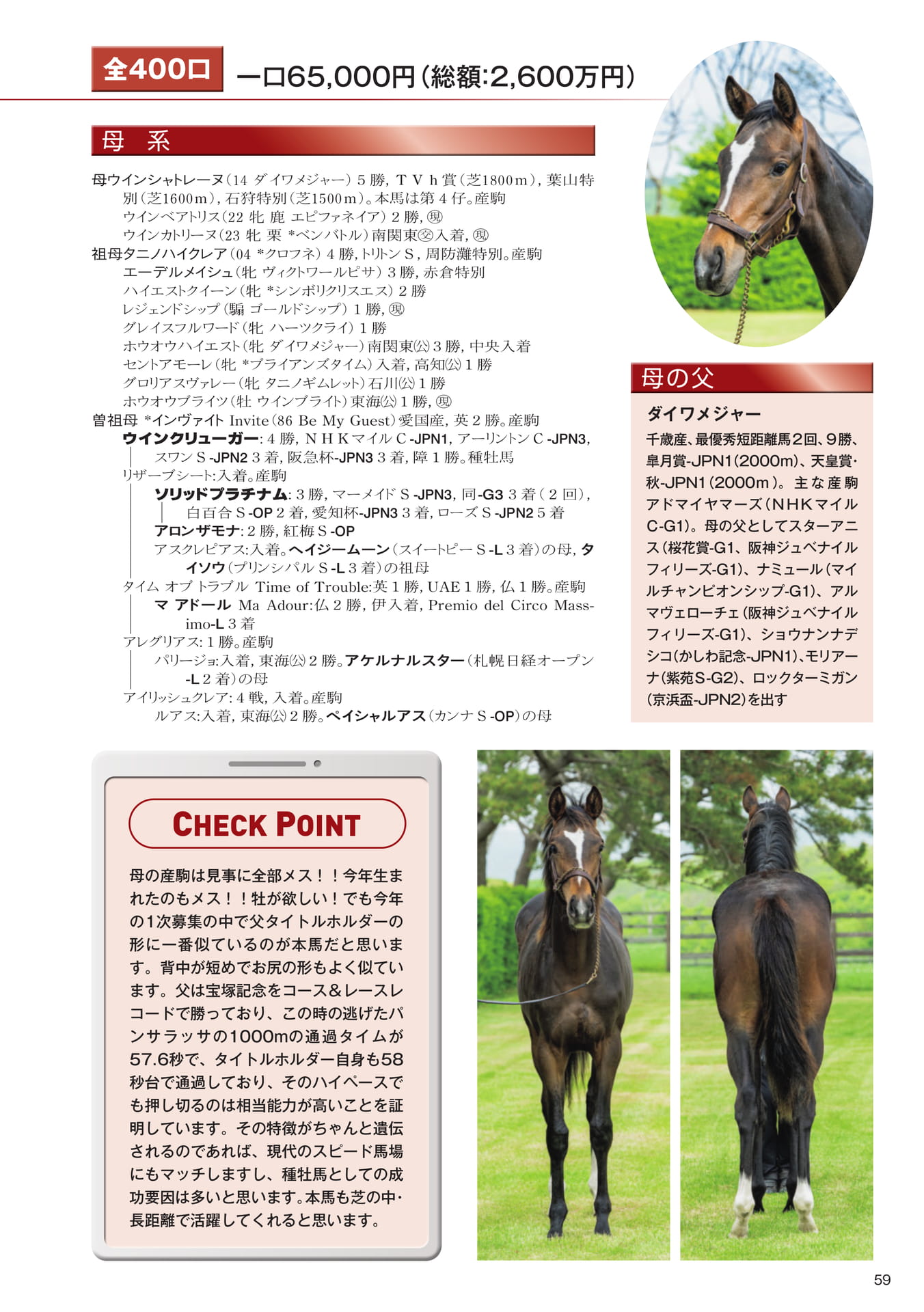 Page 59　19 ウインシャトレーヌの25（61ページ目）
