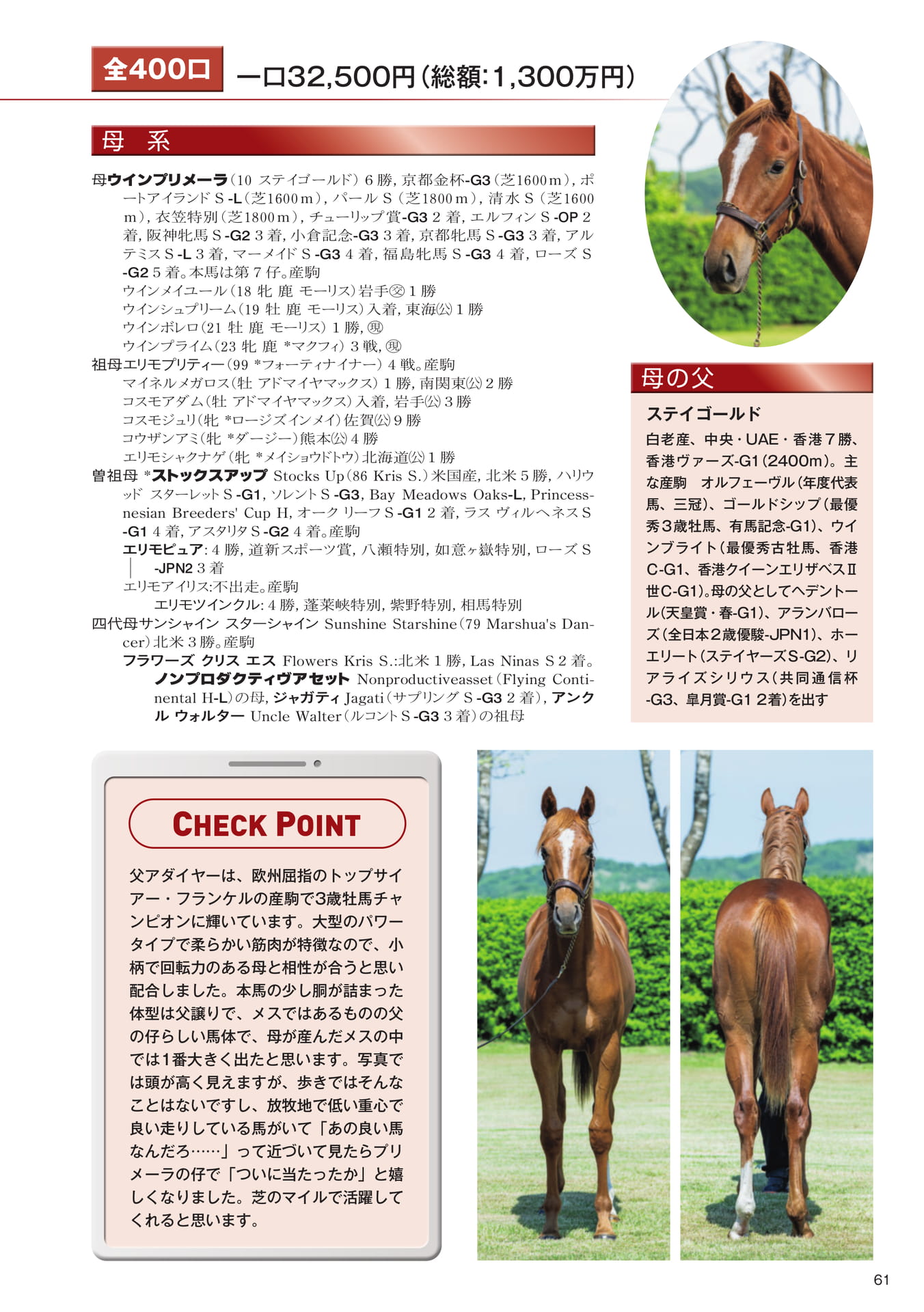 Page 61　20 ウインプリメーラの25（63ページ目）