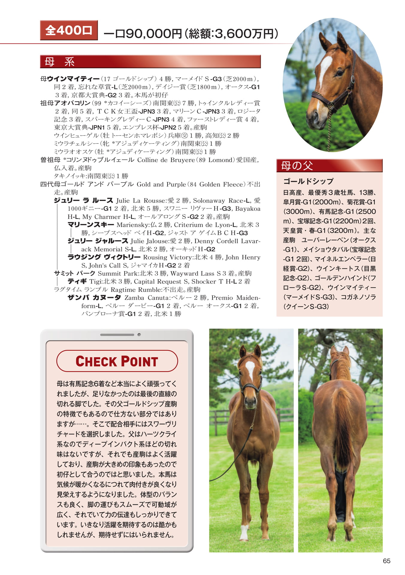 Page 65　22 ウインマイティーの25（67ページ目）