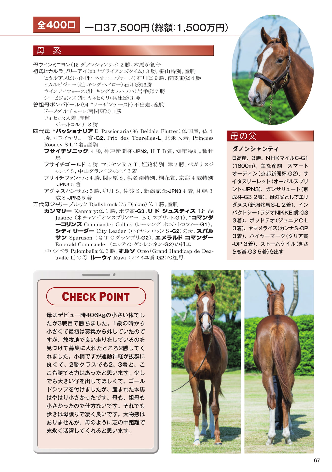 Page 67　23 ウインミニヨンの25（69ページ目）