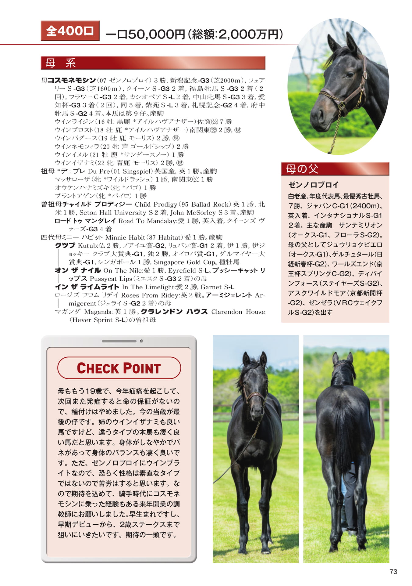 Page 73　26 コスモネモシンの25（75ページ目）