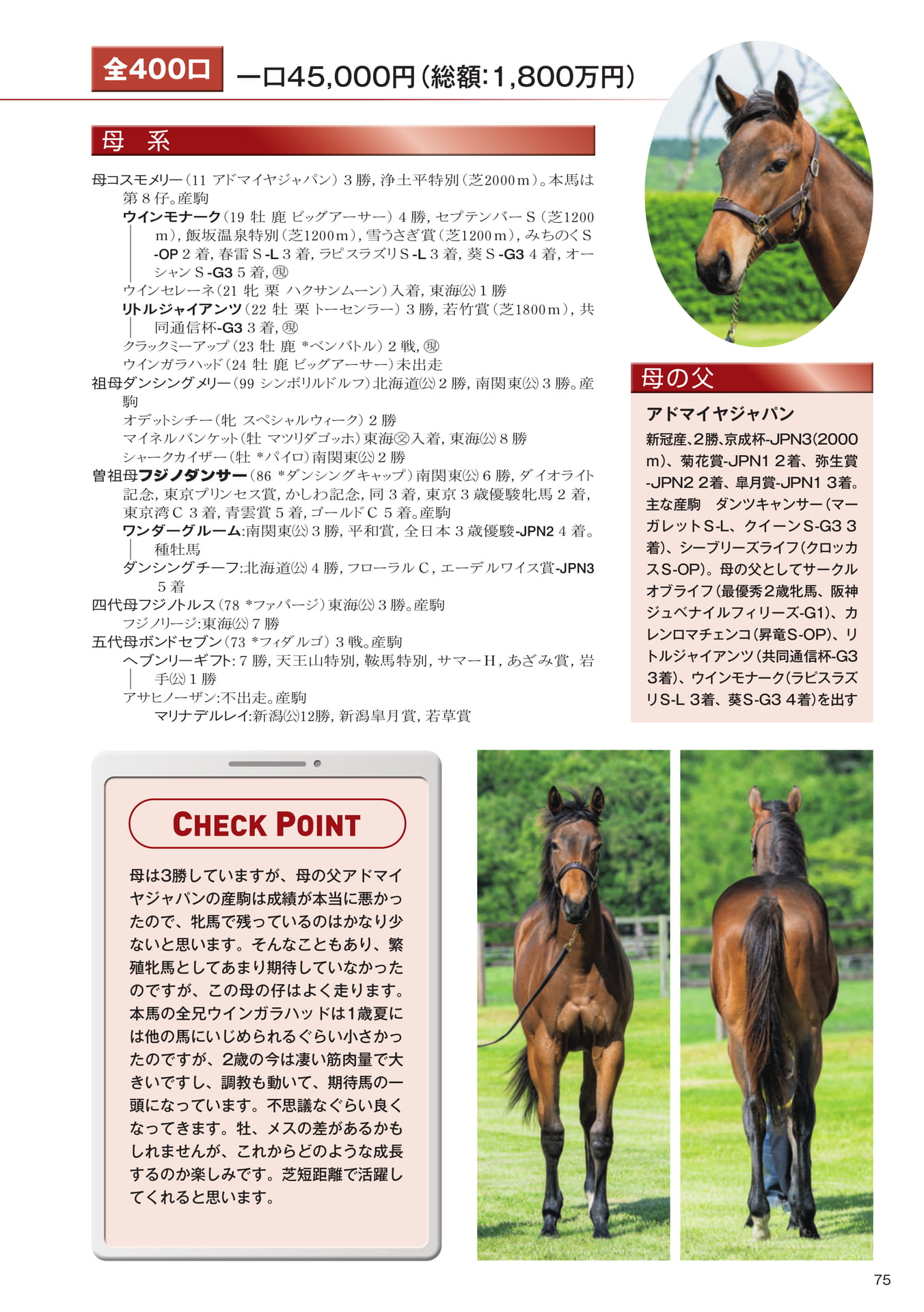 Page 75　27 コスモメリーの25（77ページ目）