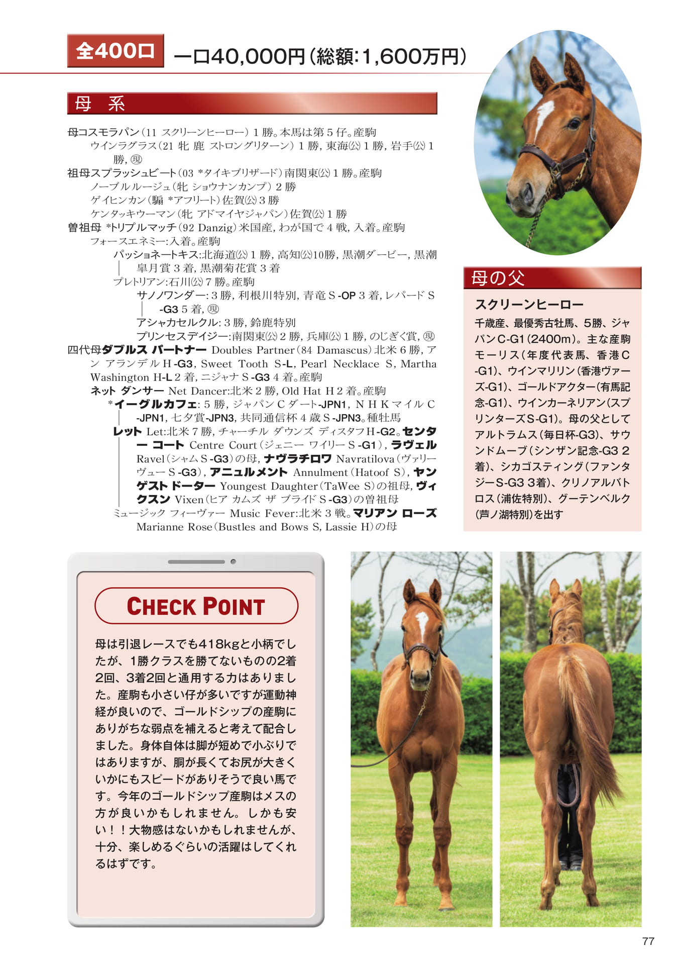 Page 77　28 コスモラパンの25（79ページ目）