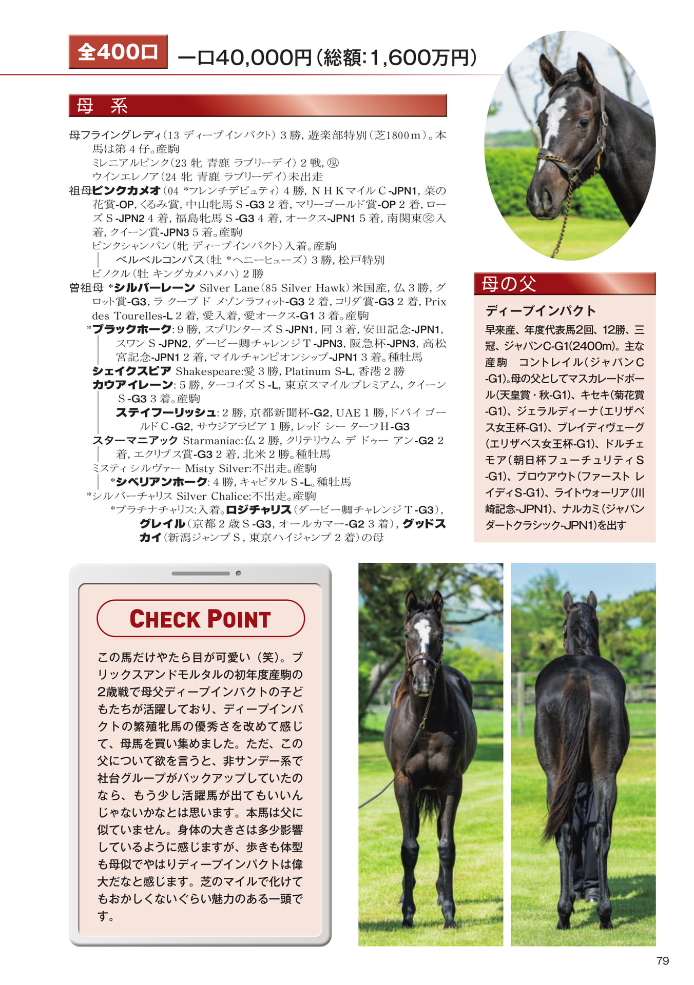 Page 79　29 フライングレディの25（81ページ目）