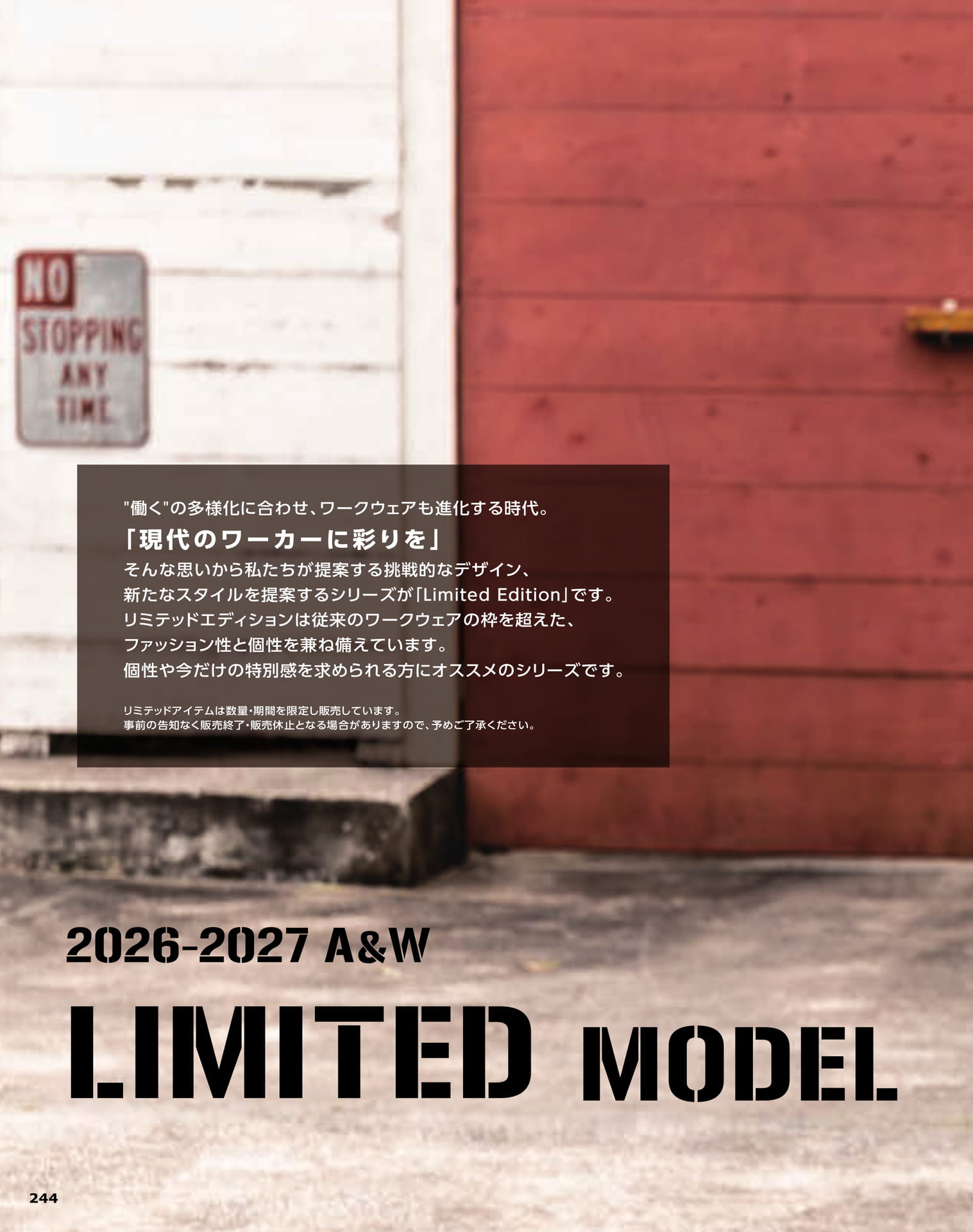 Limited Edition（246ページ目）