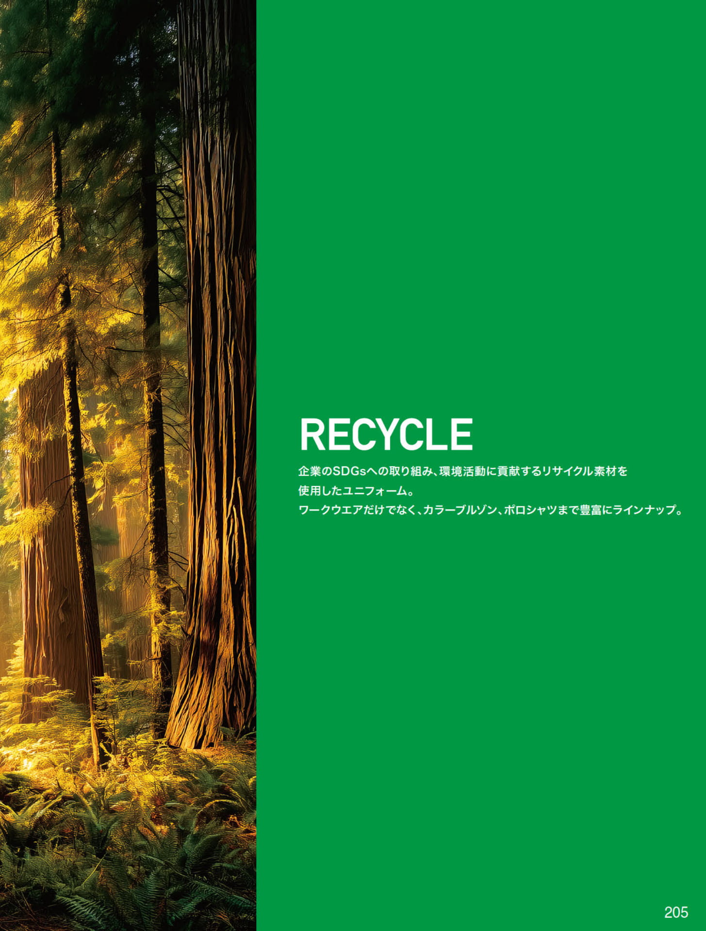 RECYCLE（205ページ目）