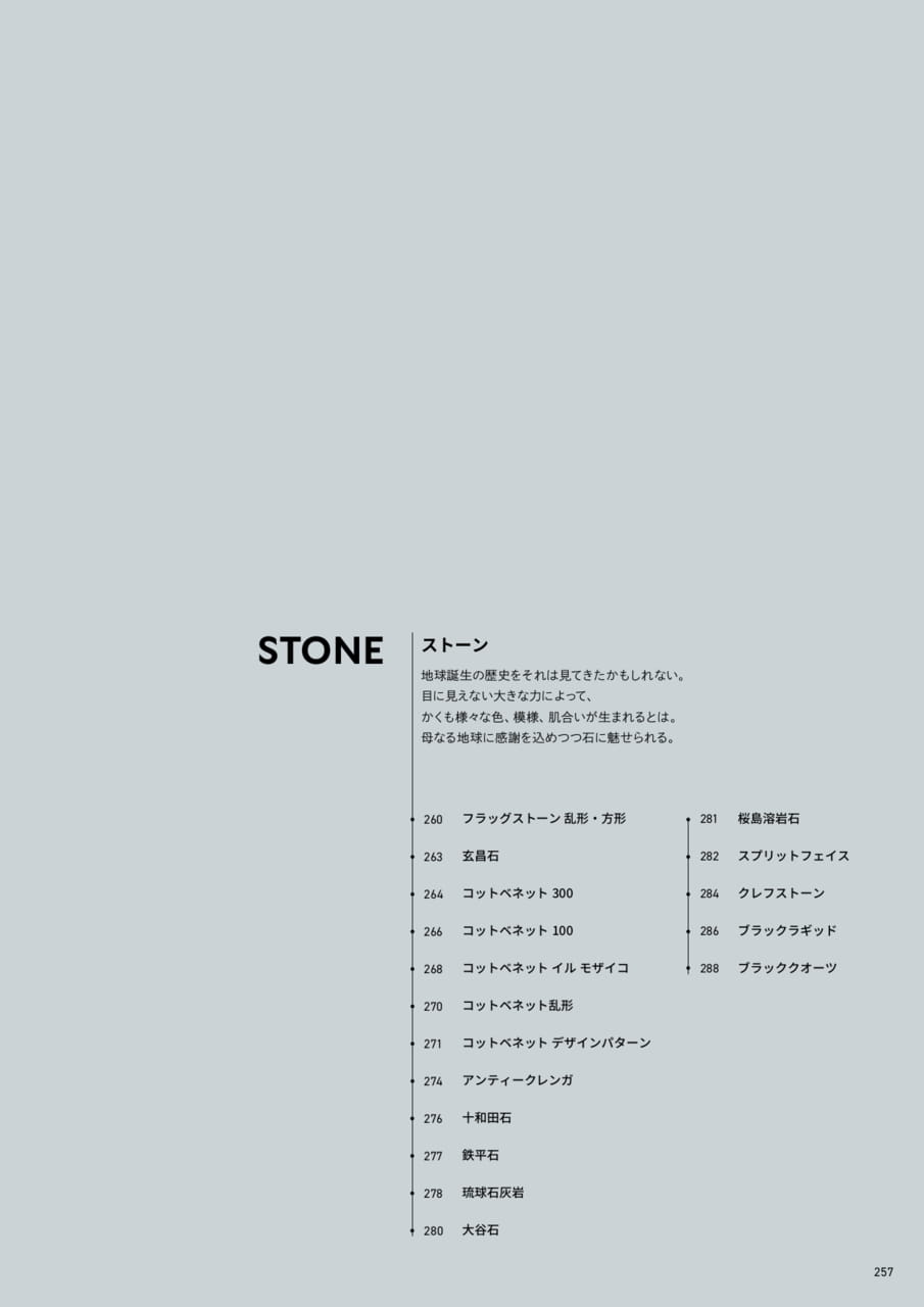 Page 259（259ページ目）
