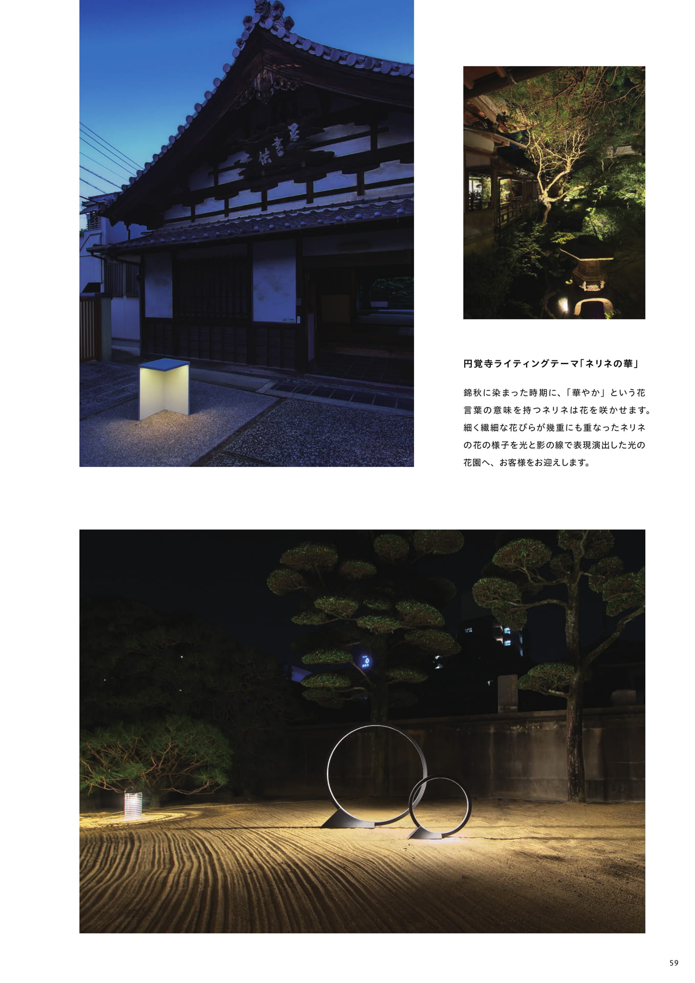 Page 61（61ページ目）