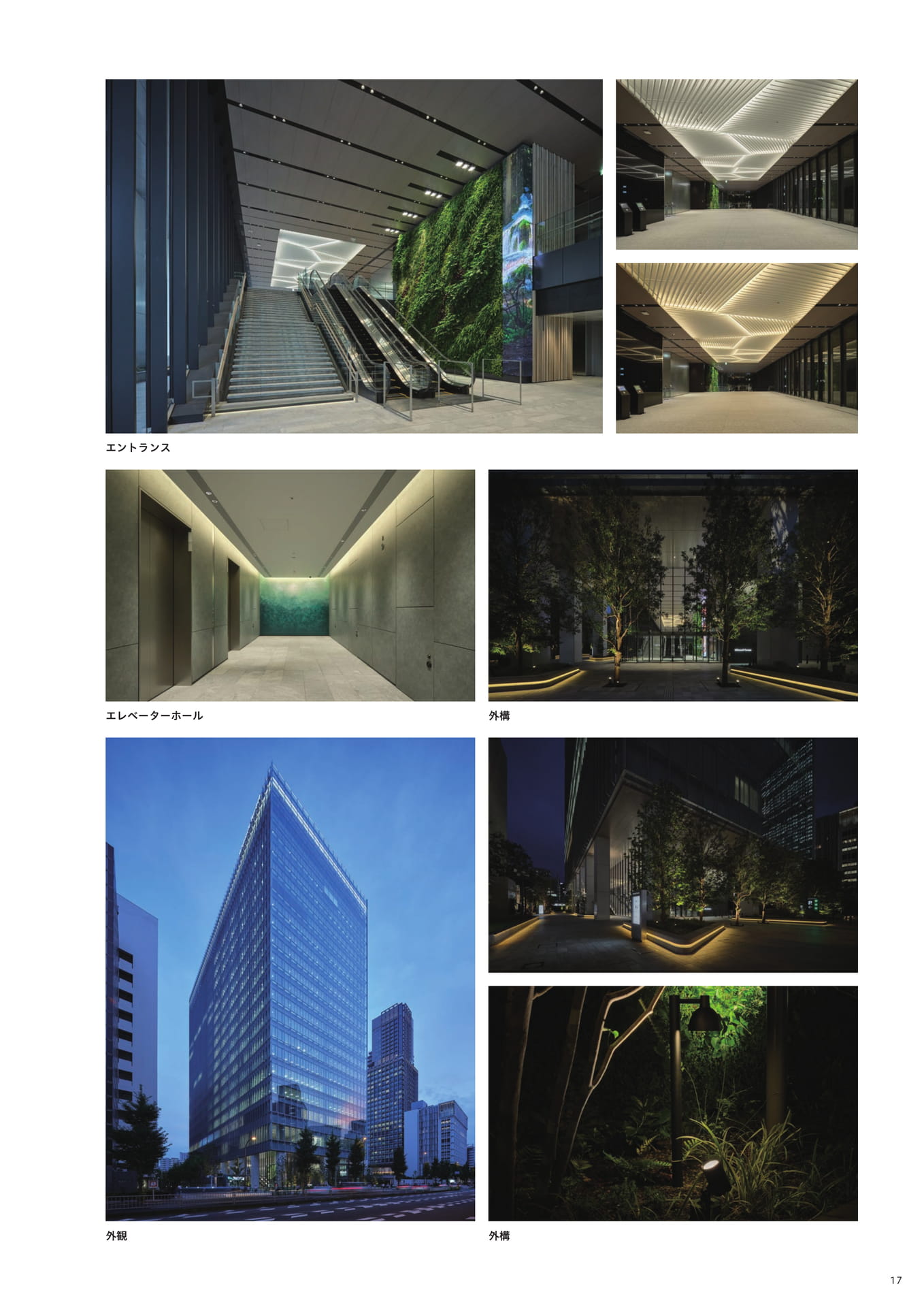 Page 19（19ページ目）