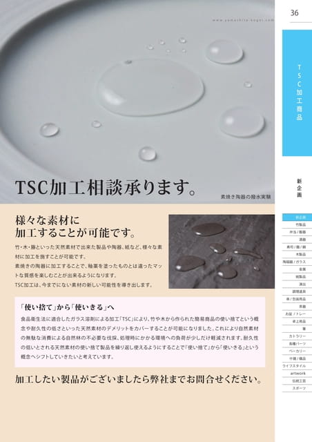 P036 TSC加工商品(37ページ目)
