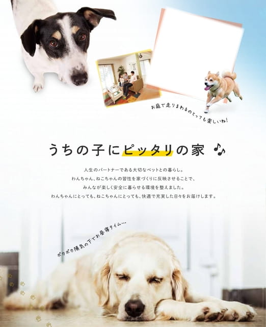 Page 2（2ページ目）
