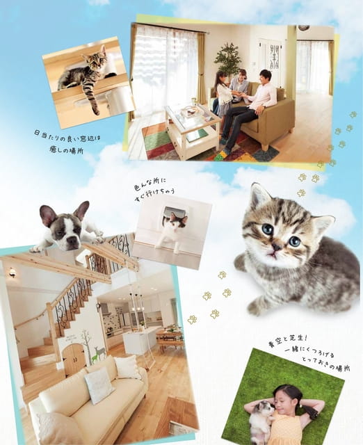 Page 3（3ページ目）